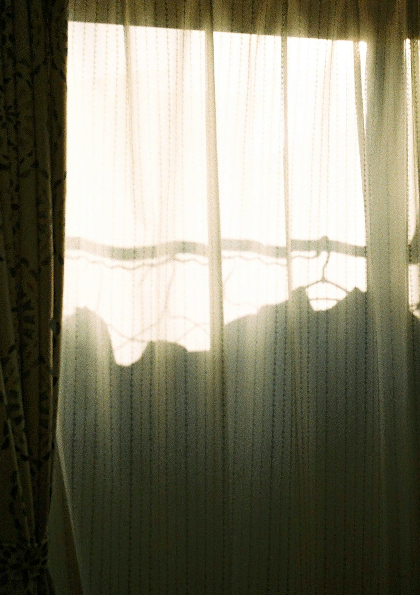 photo-AwdbWKm76ix5XjxC4wKB-image