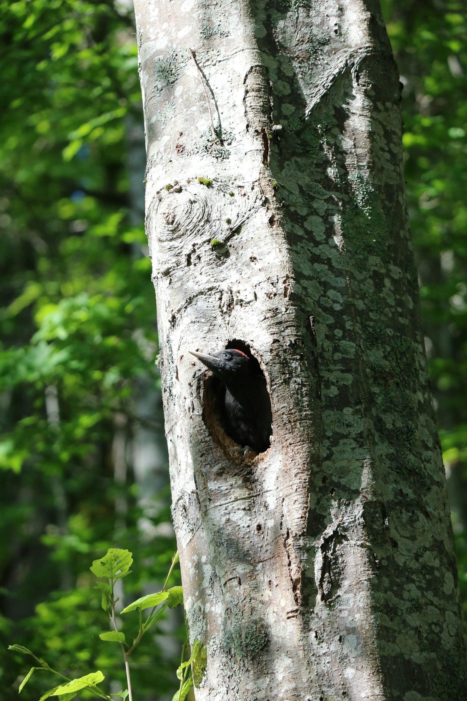 photo-Awk7PGEfMZgH9HiUMFrF-image