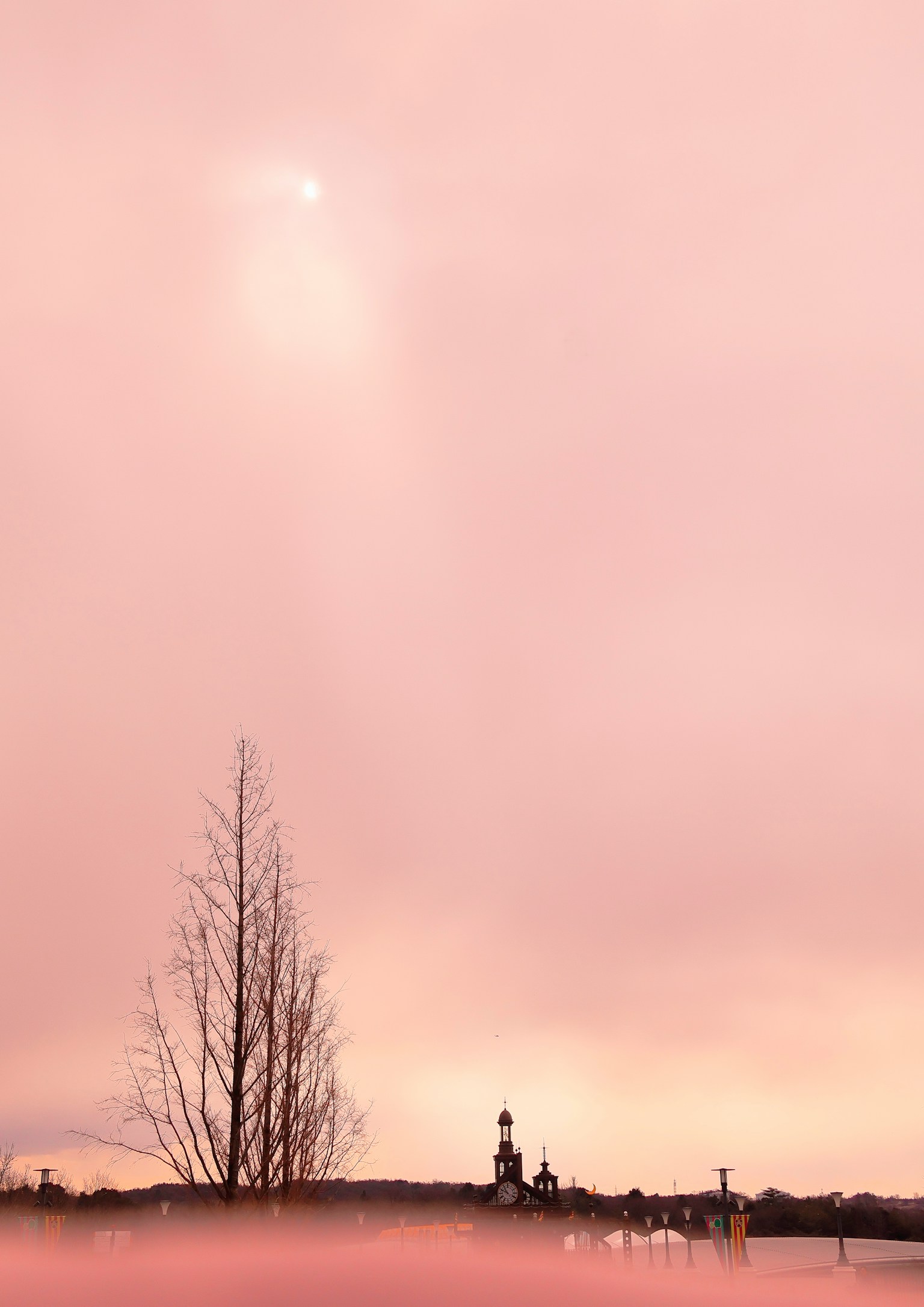 photo-AxWcqg8VWsUkQGsU9fGw-image