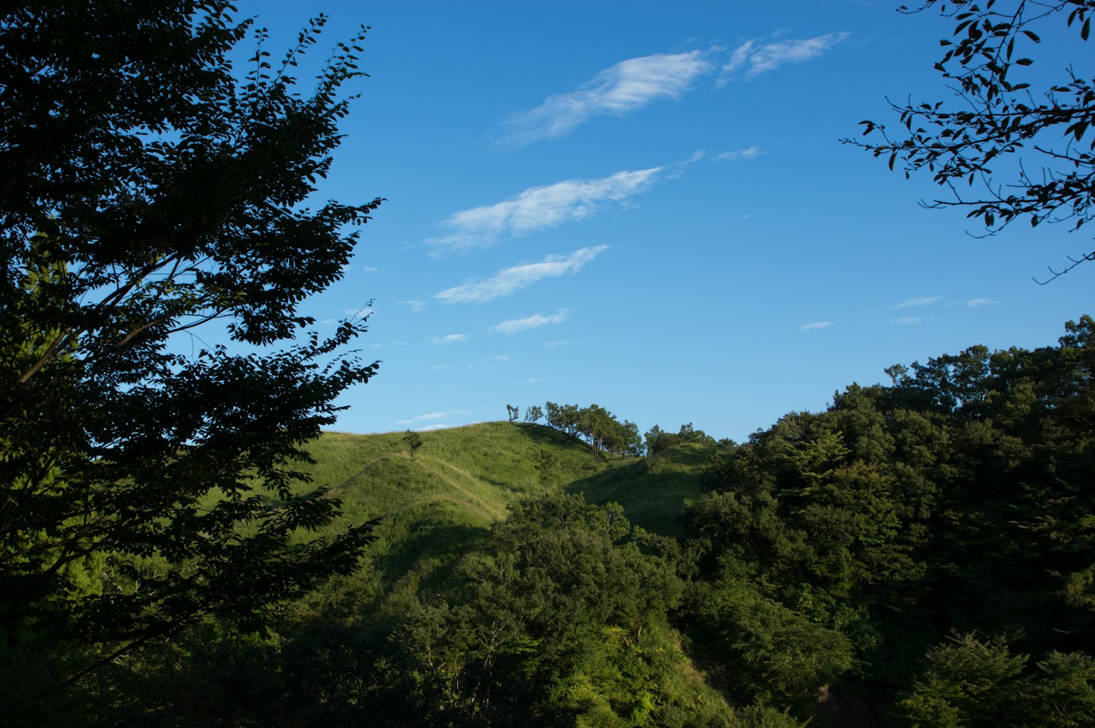 Paisaje con colinas verdes bajo un cielo azul