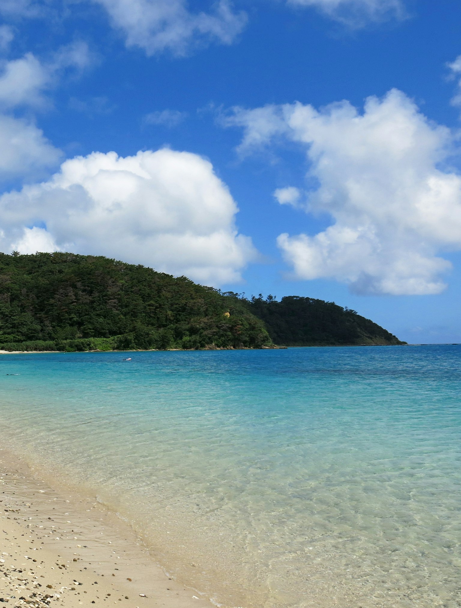 Scène de plage magnifique avec océan bleu collines vertes et sable blanc