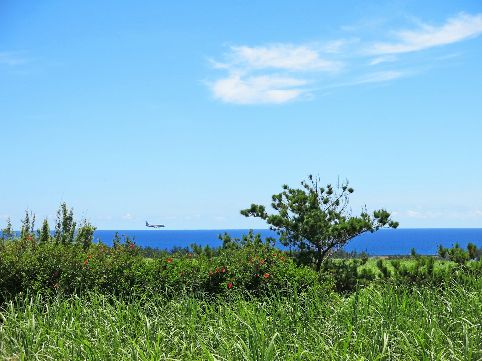 Vista panoramica di un prato verde con cielo blu e oceano una nave visibile in lontananza