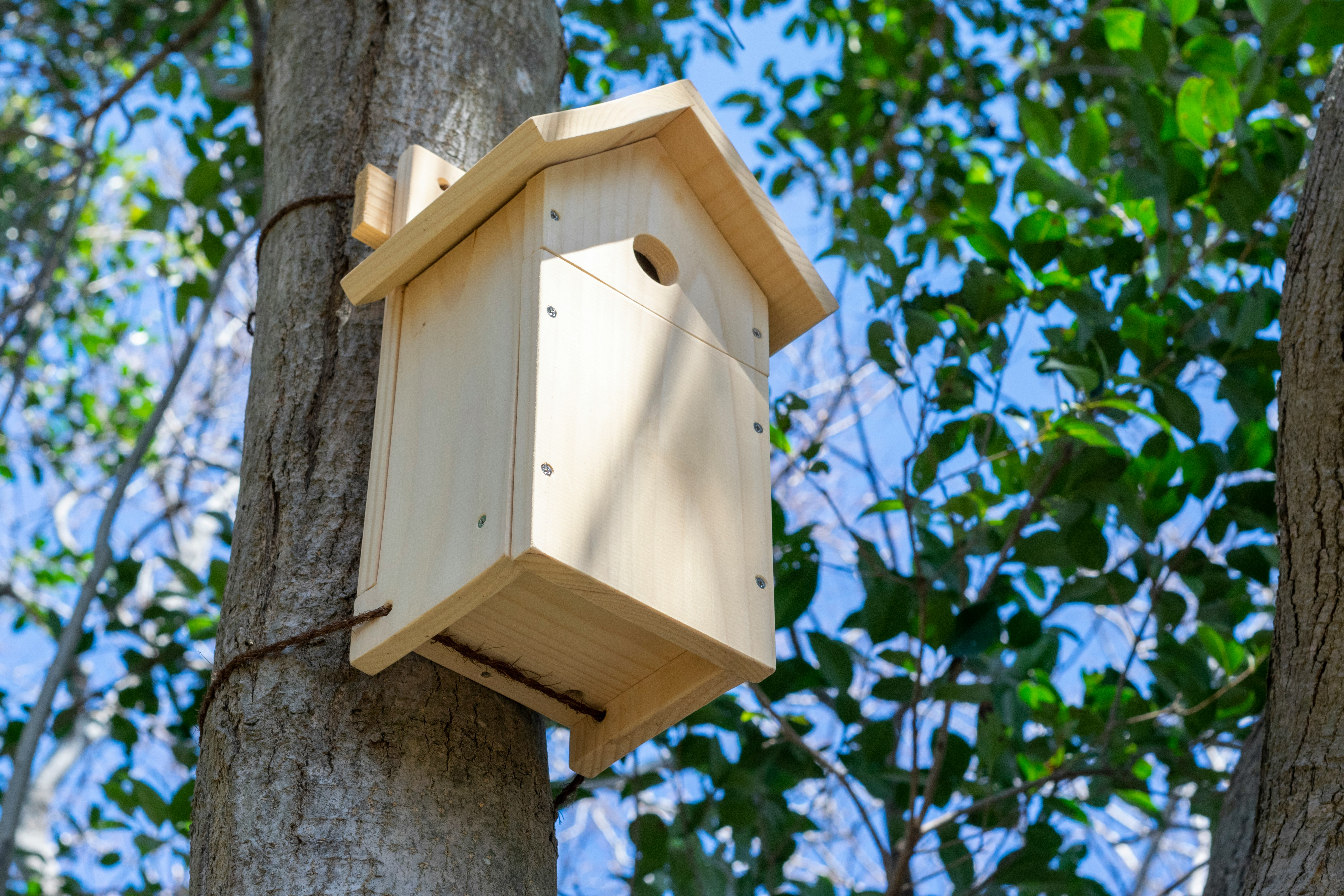 birdhouse mounted on a tree with green foliage