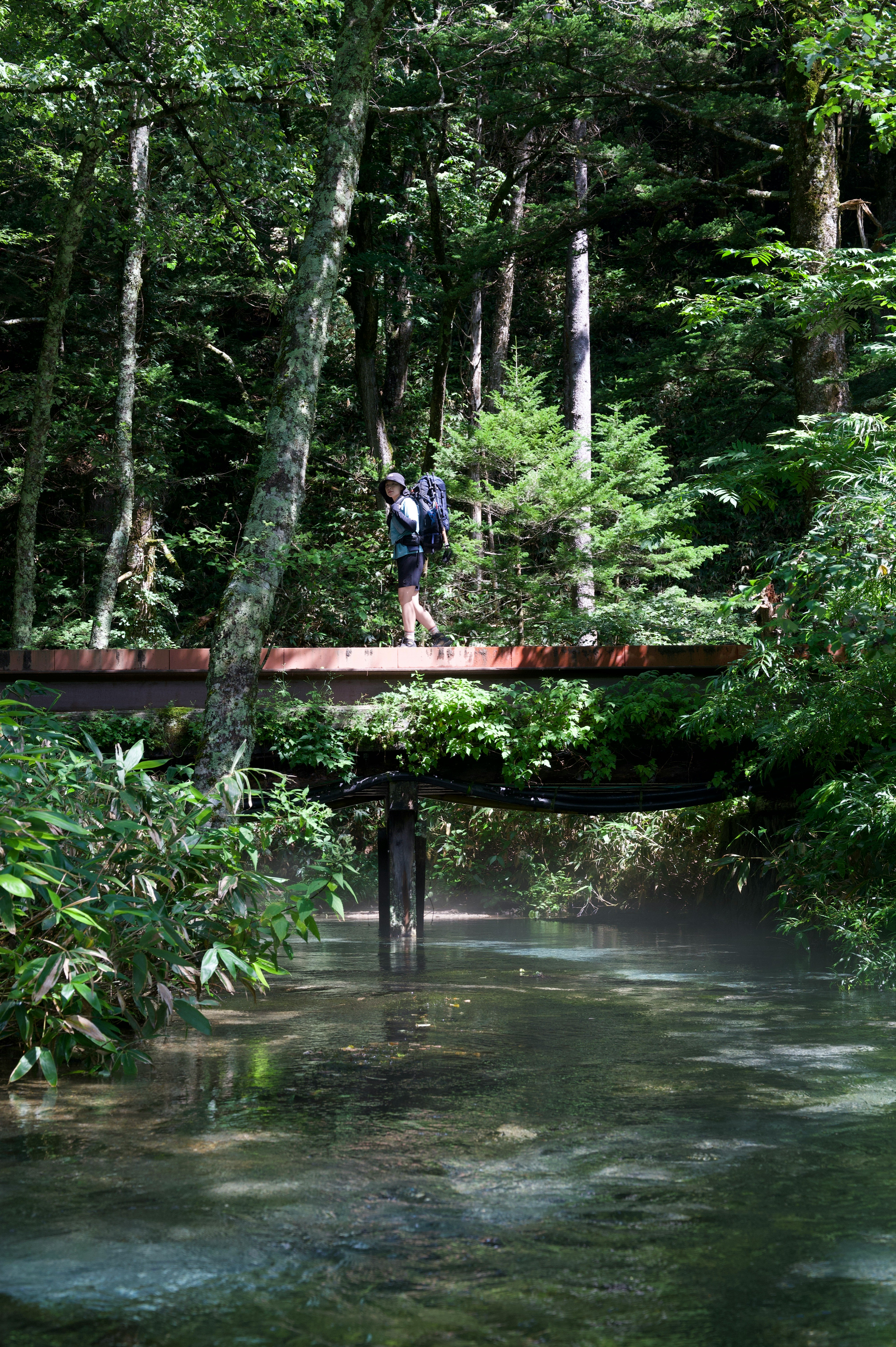 hiker walking along a green forest stream from behind