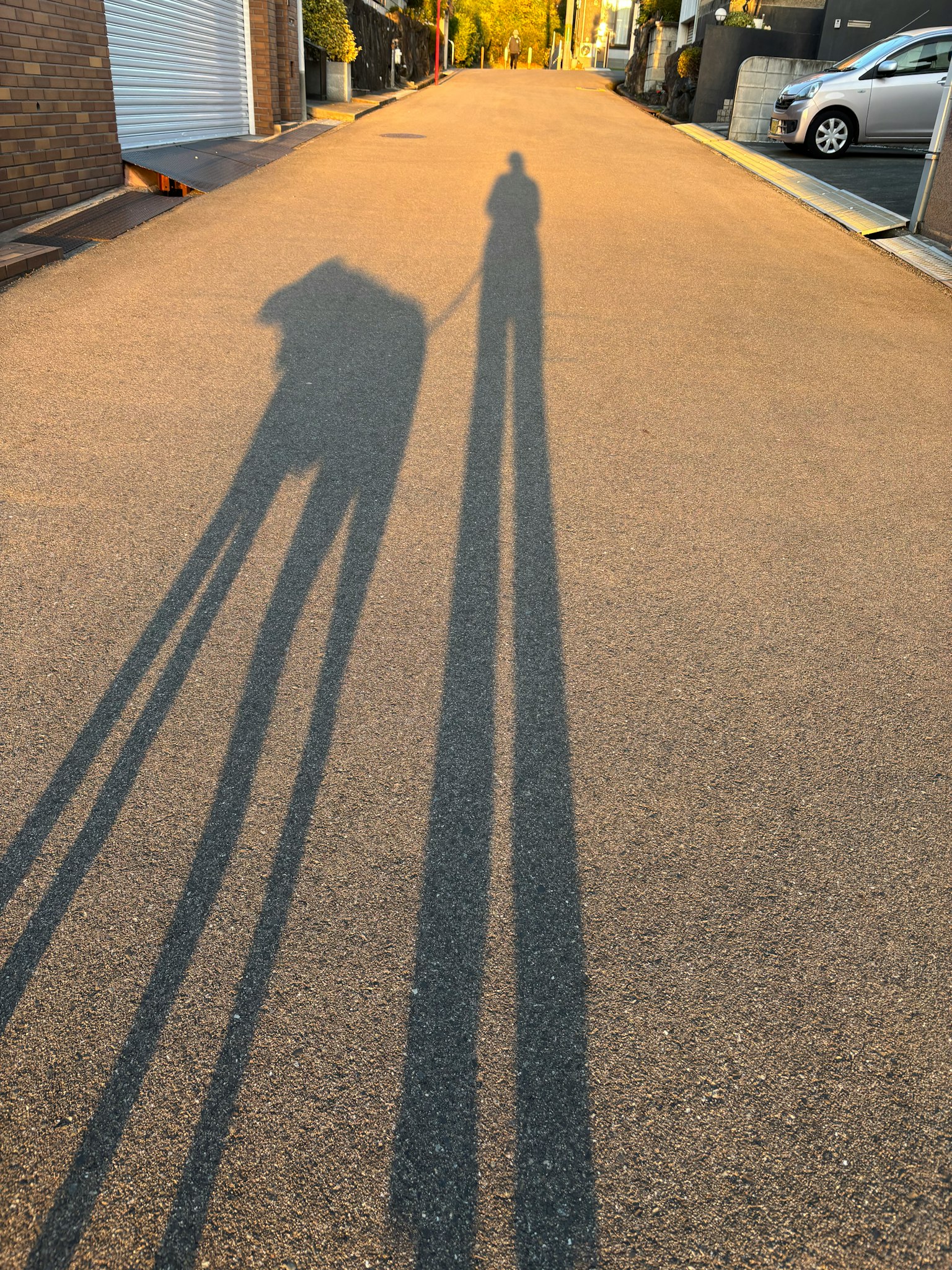 影が長く伸びた道を歩く人と犬のシルエット