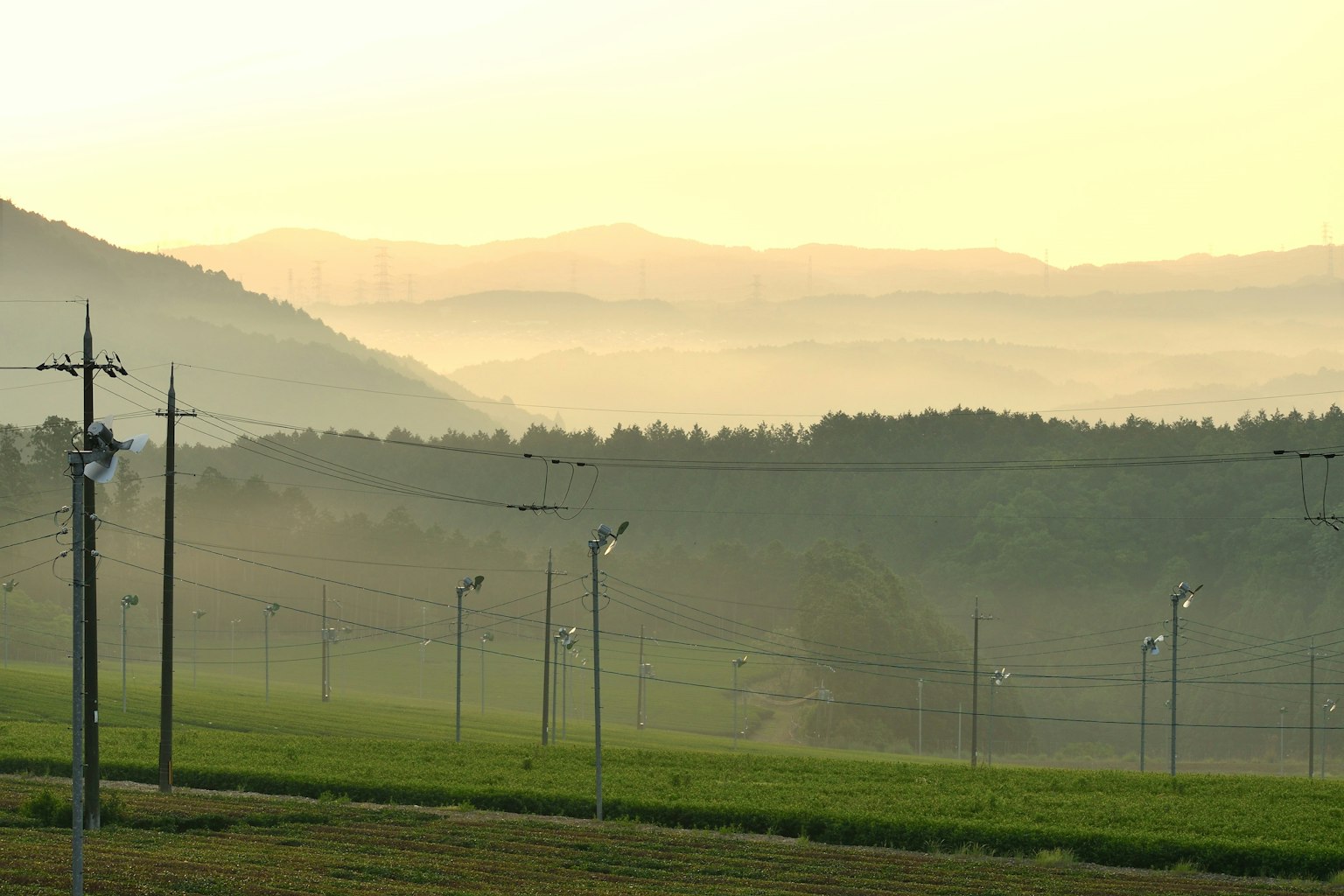 Un paisaje sereno con montañas brumosas y filas de postes de electricidad al amanecer