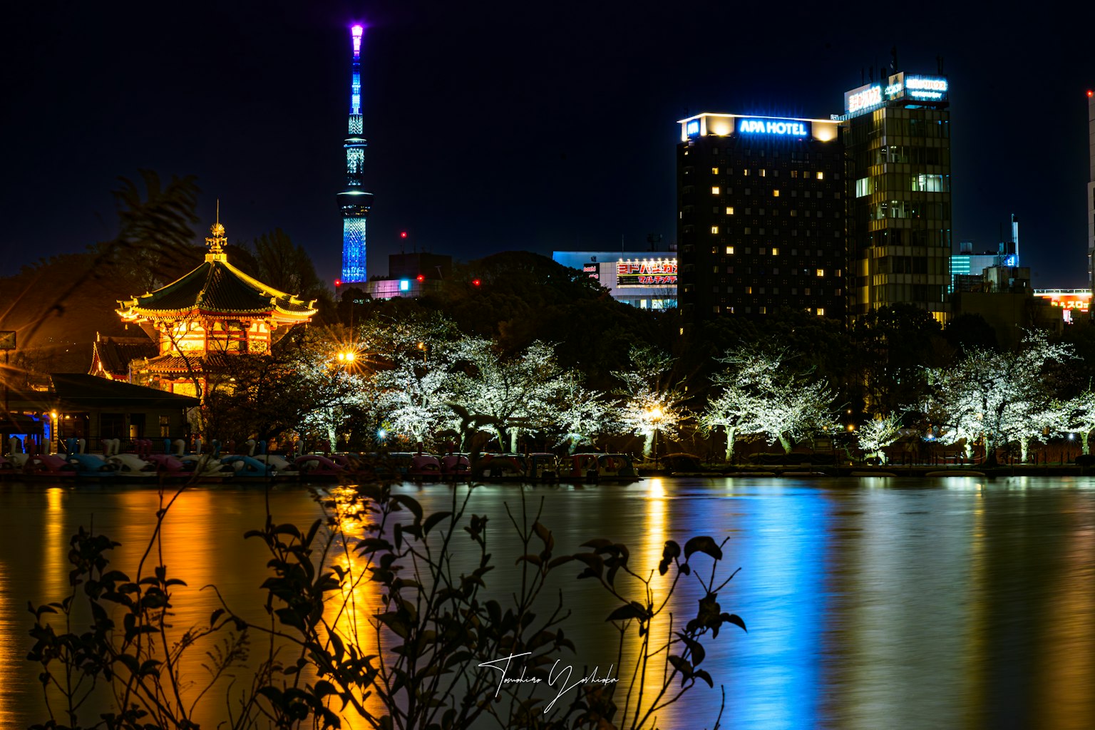 美麗的夜景，展示東京塔和燈光照亮的櫻花