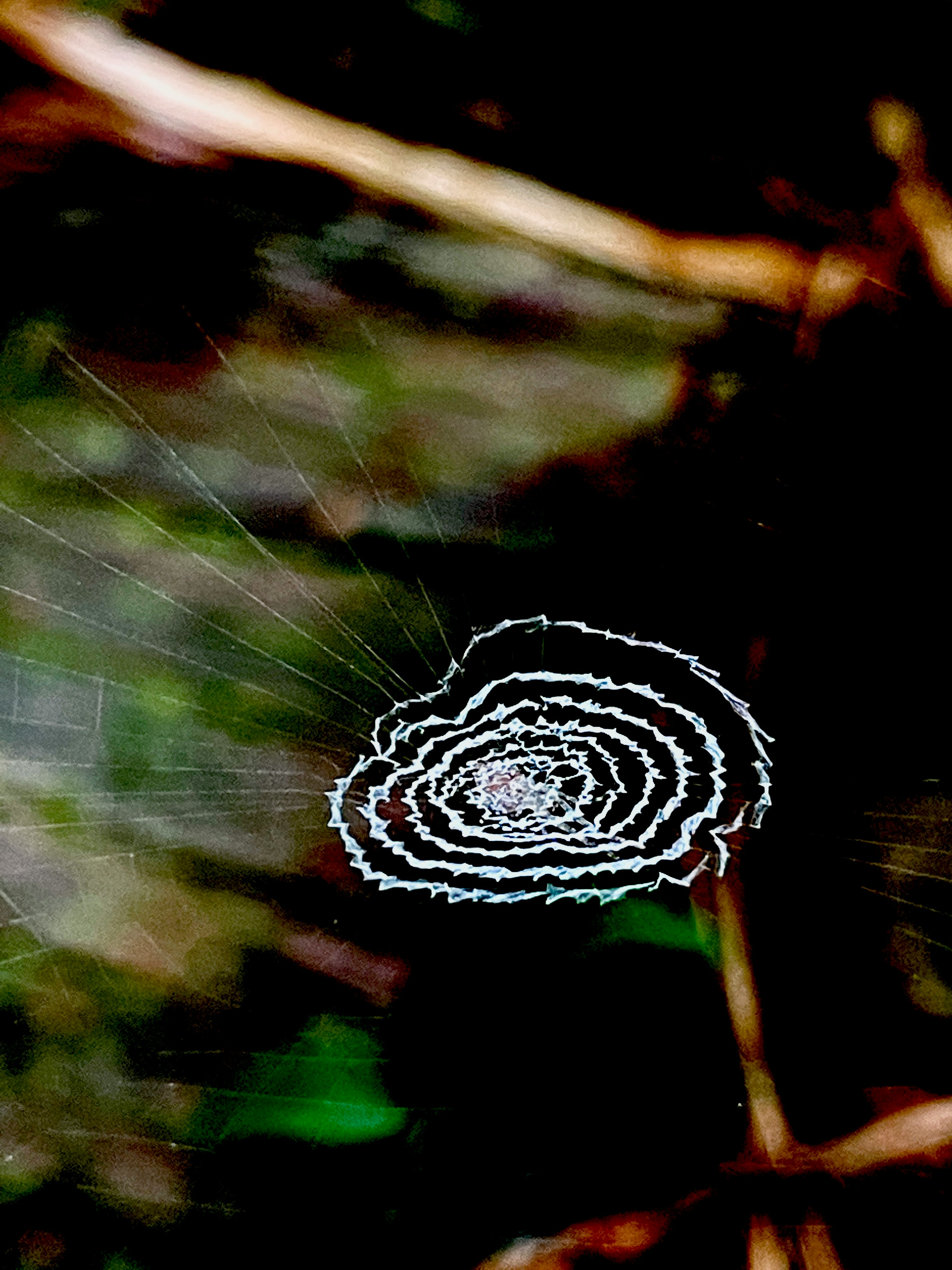 草地上方漂浮的渦旋狀光軌