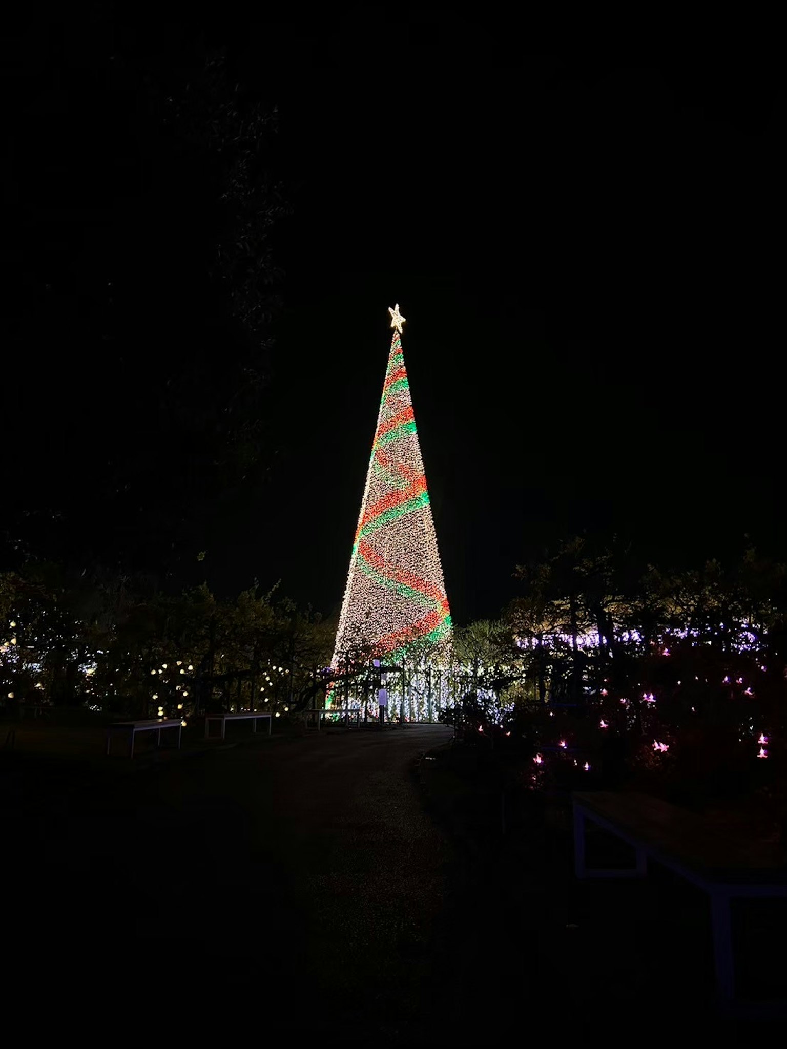 Arbre de Noël illuminé brillant dans le ciel nocturne