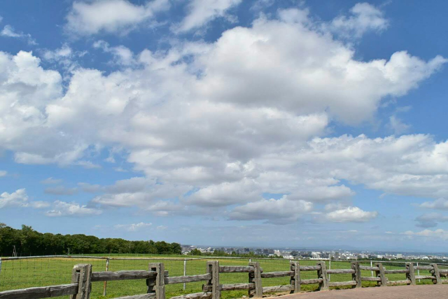 Vista panoramica del cielo blu con nuvole bianche erba verde e alberi sullo sfondo