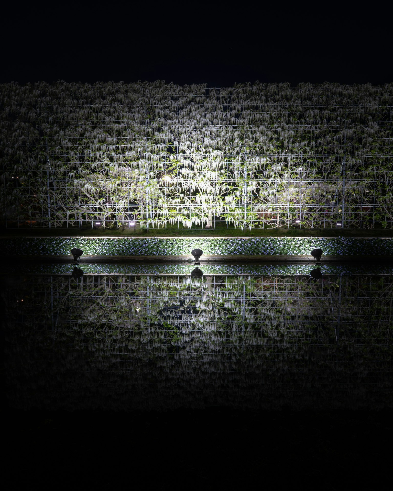 photo-AzTREZC0lWd40RXwvtTl-image