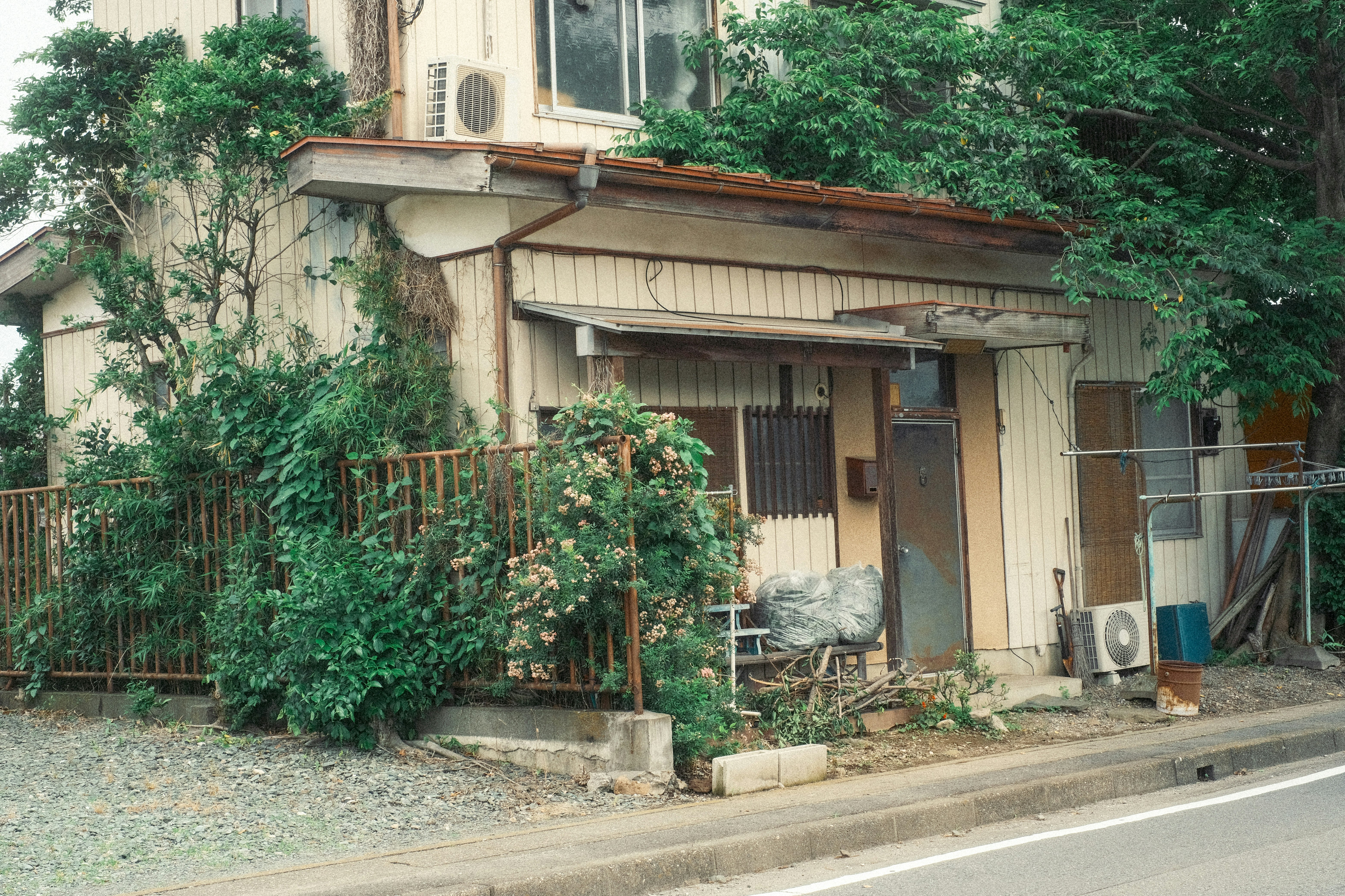 被綠植環繞的老舊單層房屋與路邊街景