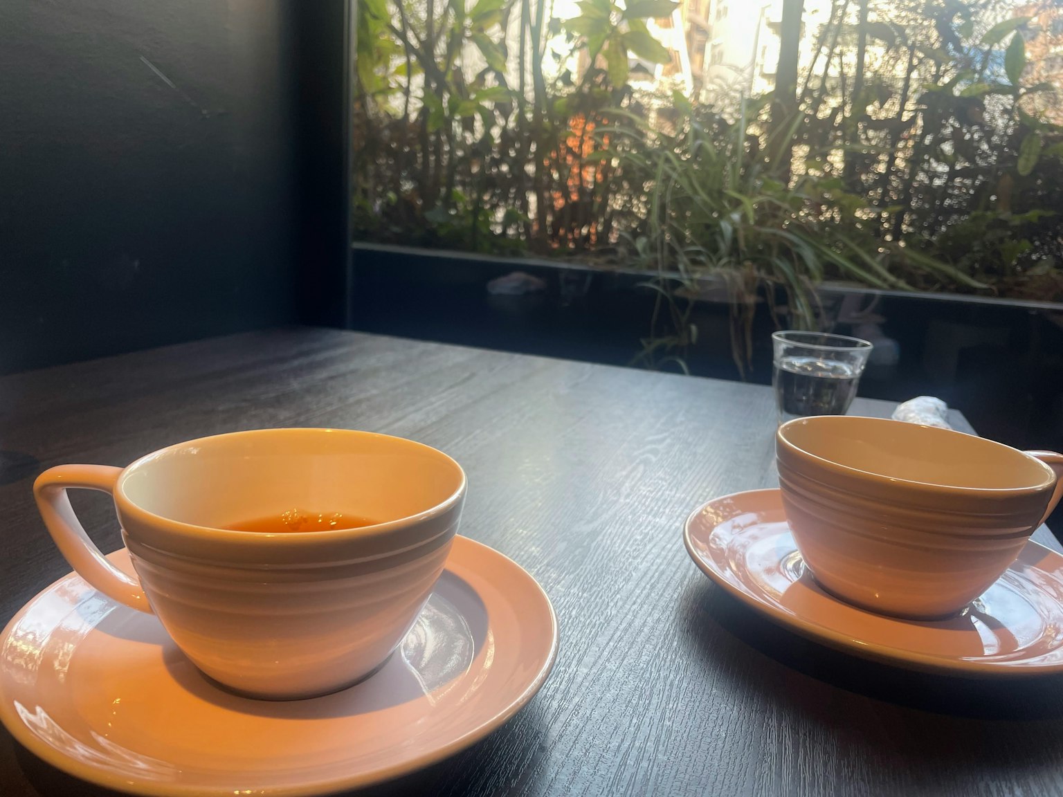 桌子上的兩杯咖啡，窗外可見綠色植物