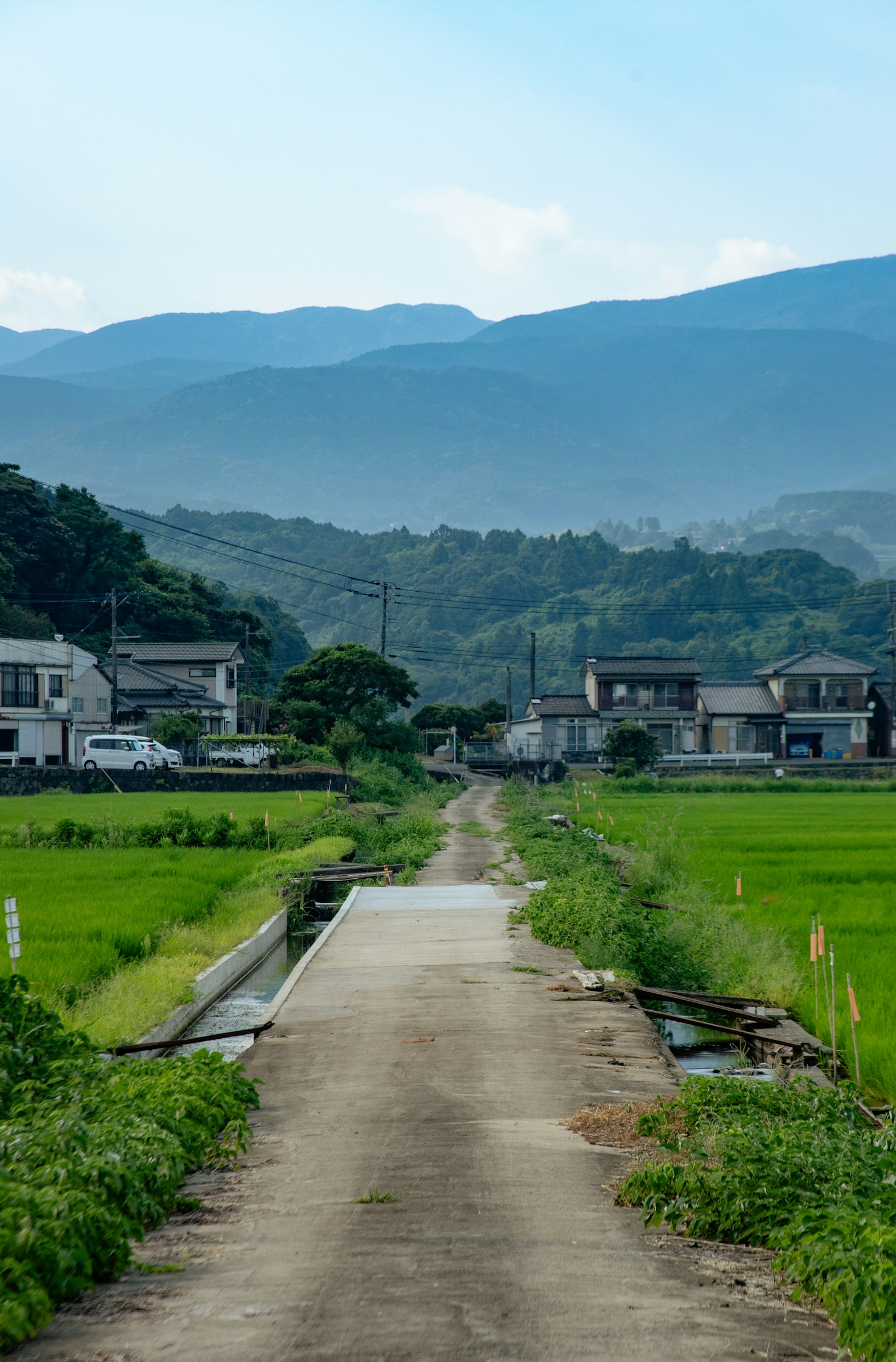 鋪成的道路穿過綠色稻田，遠處是山脈