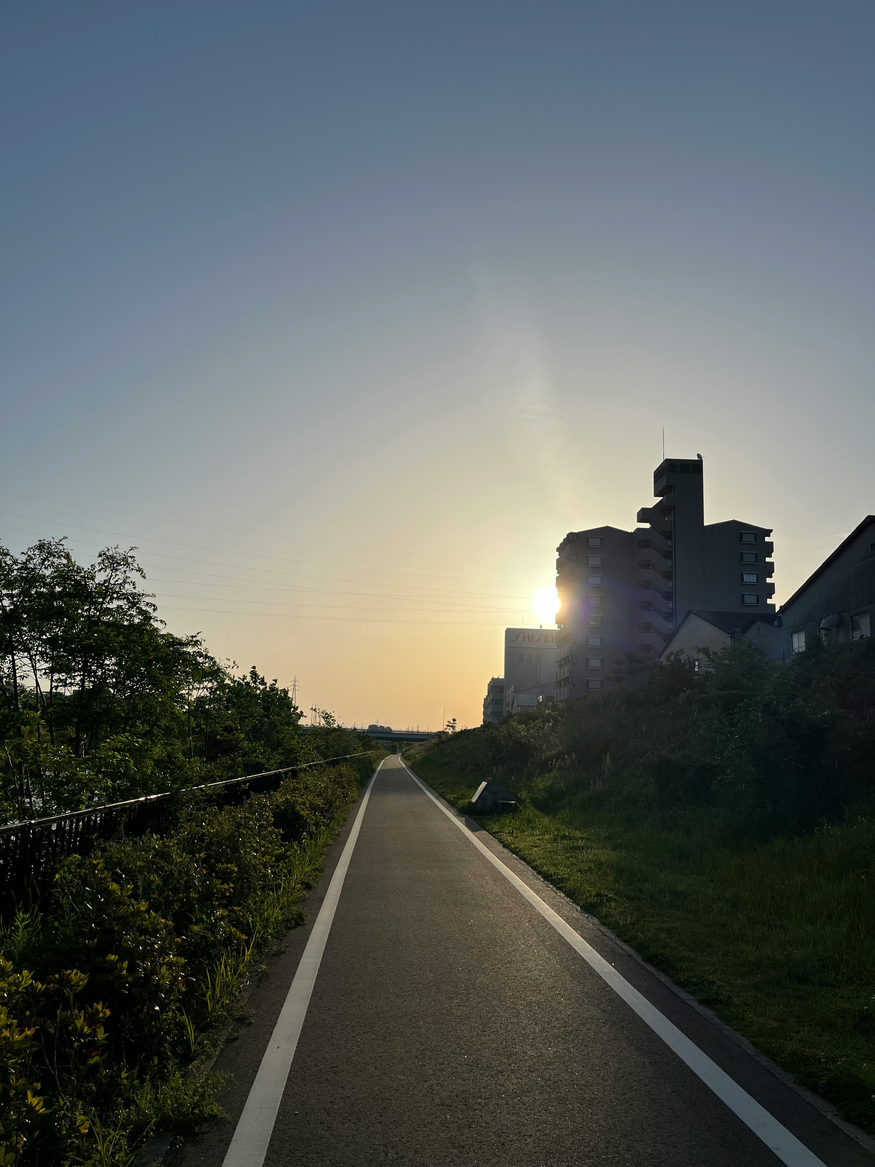 夕暮れの並木道を走る直線の道路と住宅のシルエット