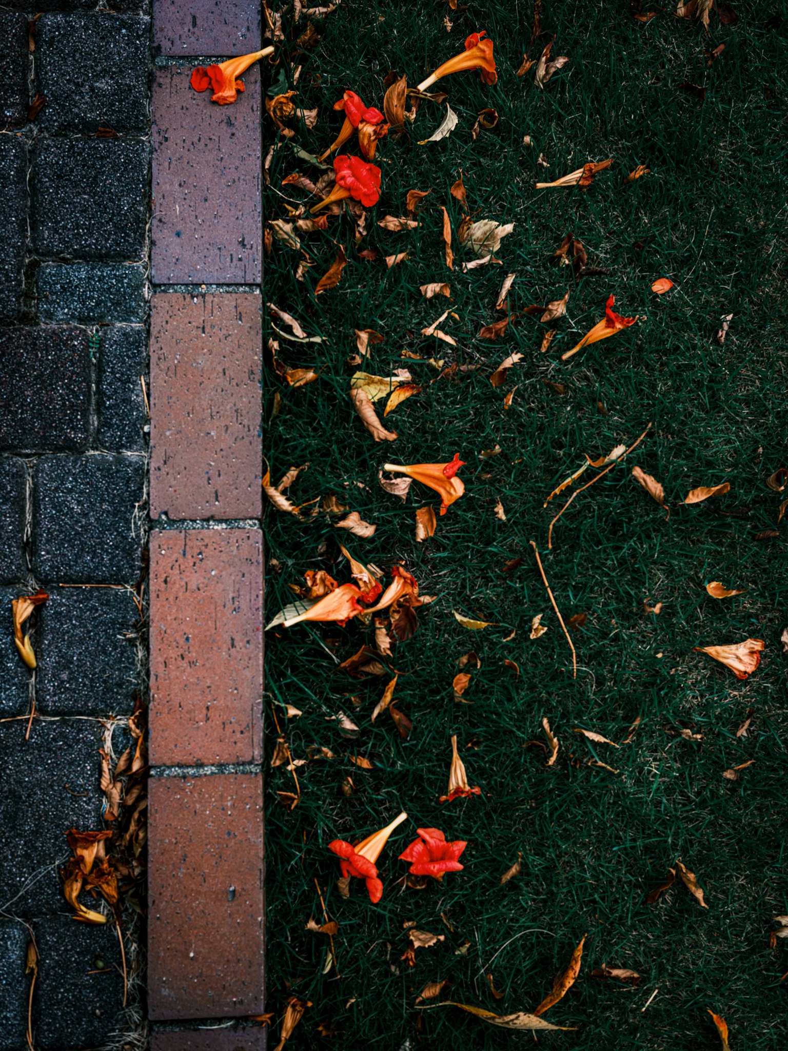 photo-B2WCnMlKk3YrtY0yWb6J-image