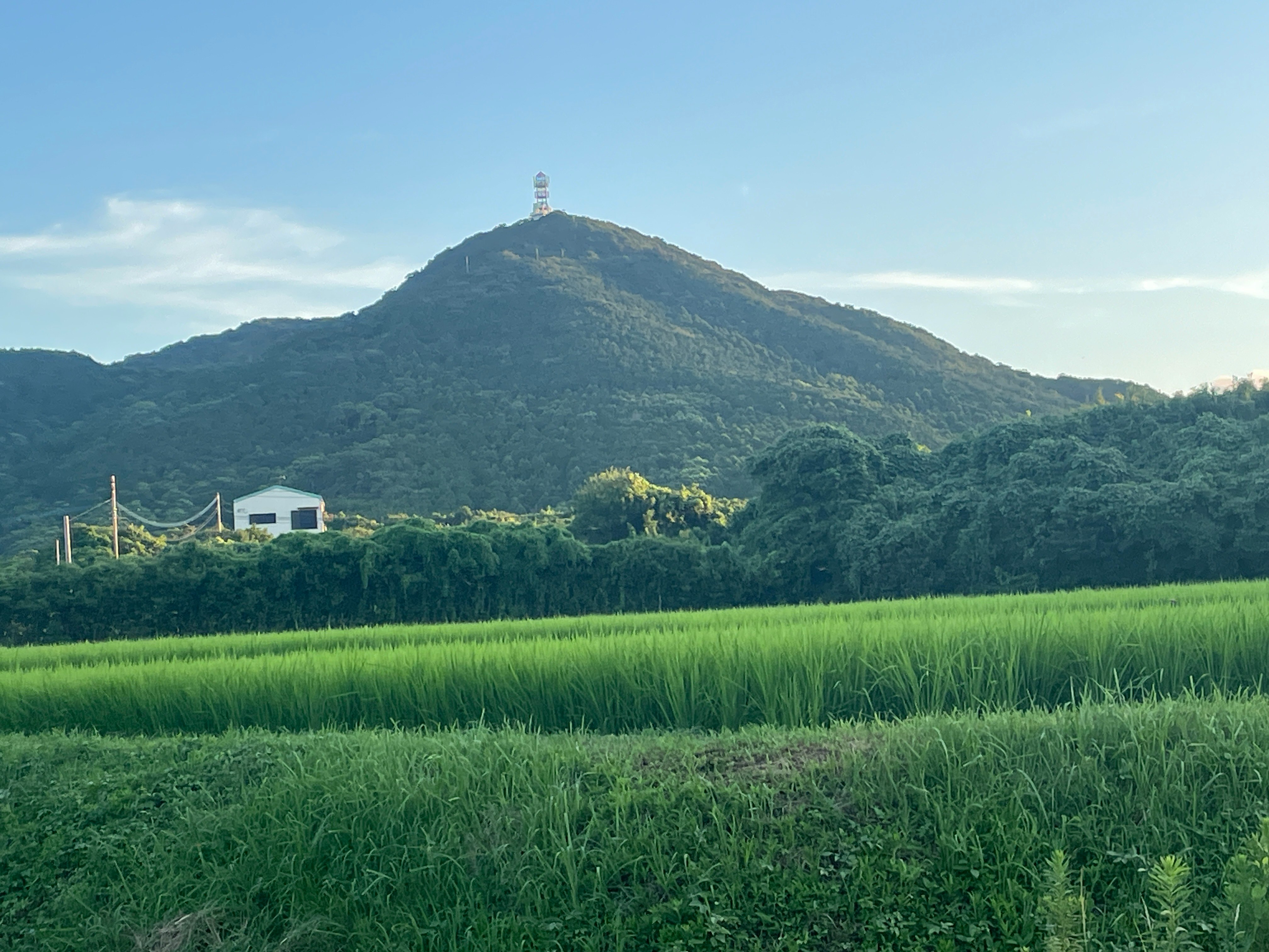 ทุ่งนาสีเขียวและสันเขาเขาที่มีหอคอยชมวิวในบรรยากาศแสนสงบ