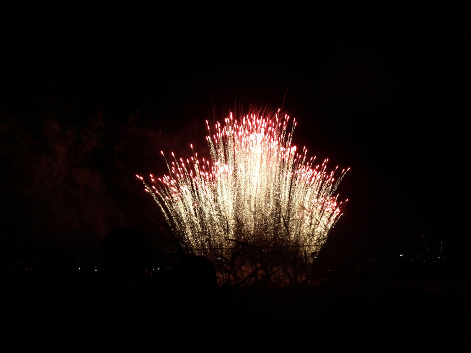 Spectacle de feux d'artifice éclatant dans le ciel nocturne