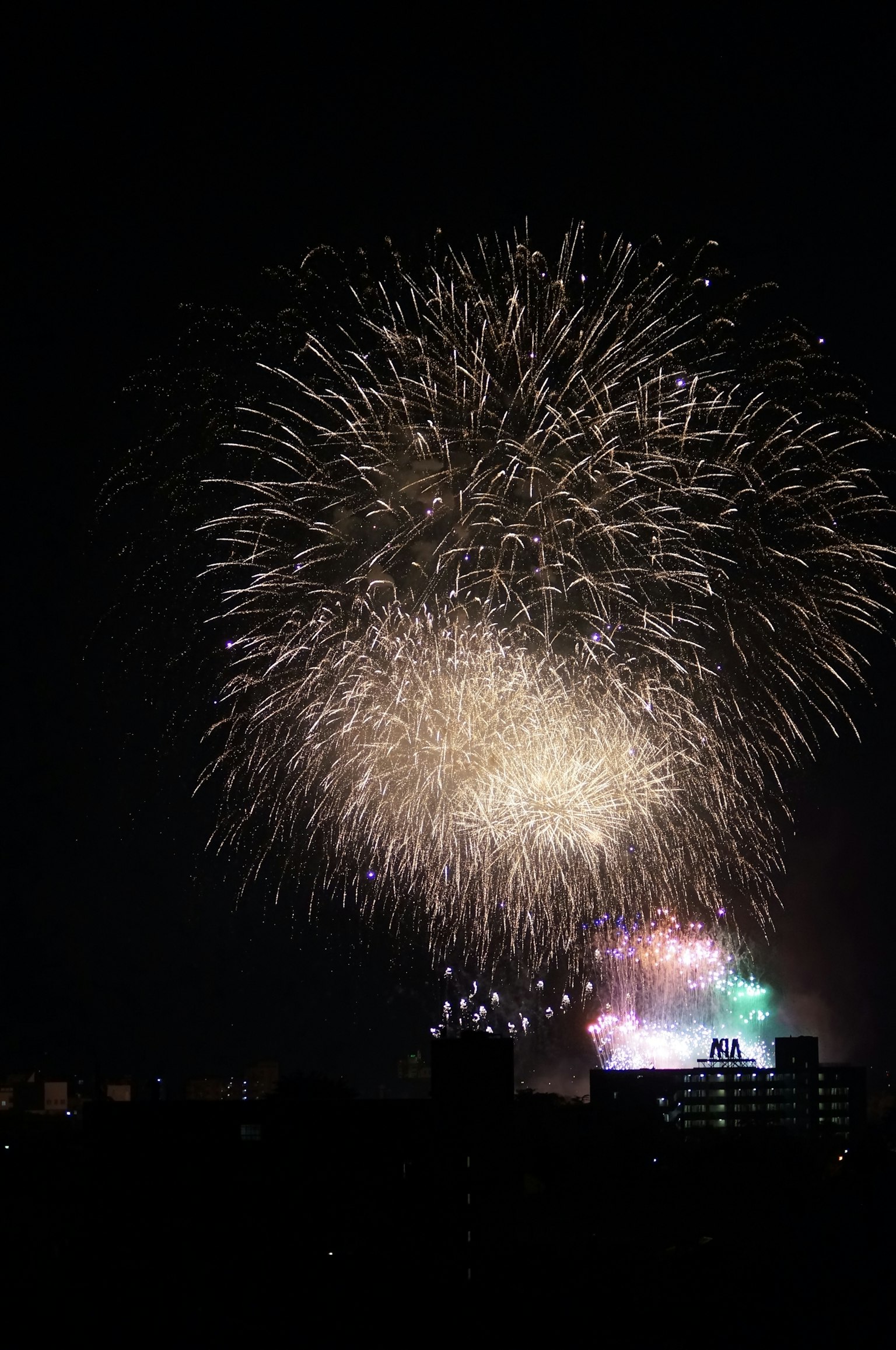 Un bellissimo spettacolo di fuochi d'artificio che illumina il cielo notturno