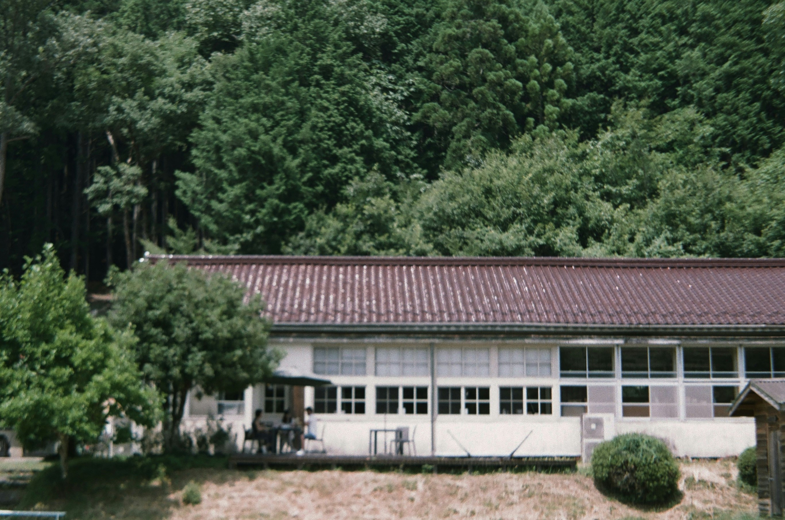 廃校になった小学校の校舎と中庭の風景