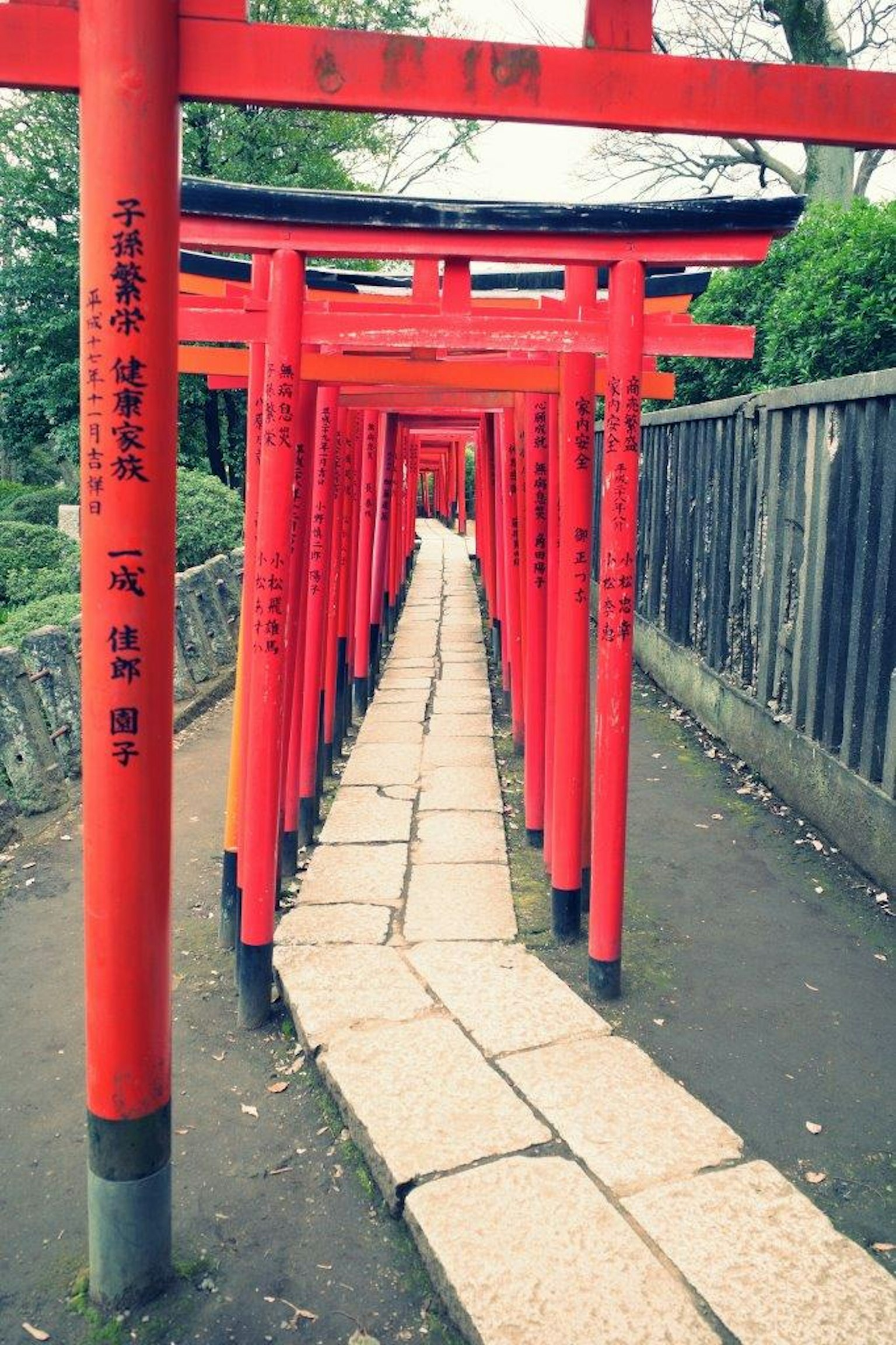 Pathway lined with red torii gates and stone pavement