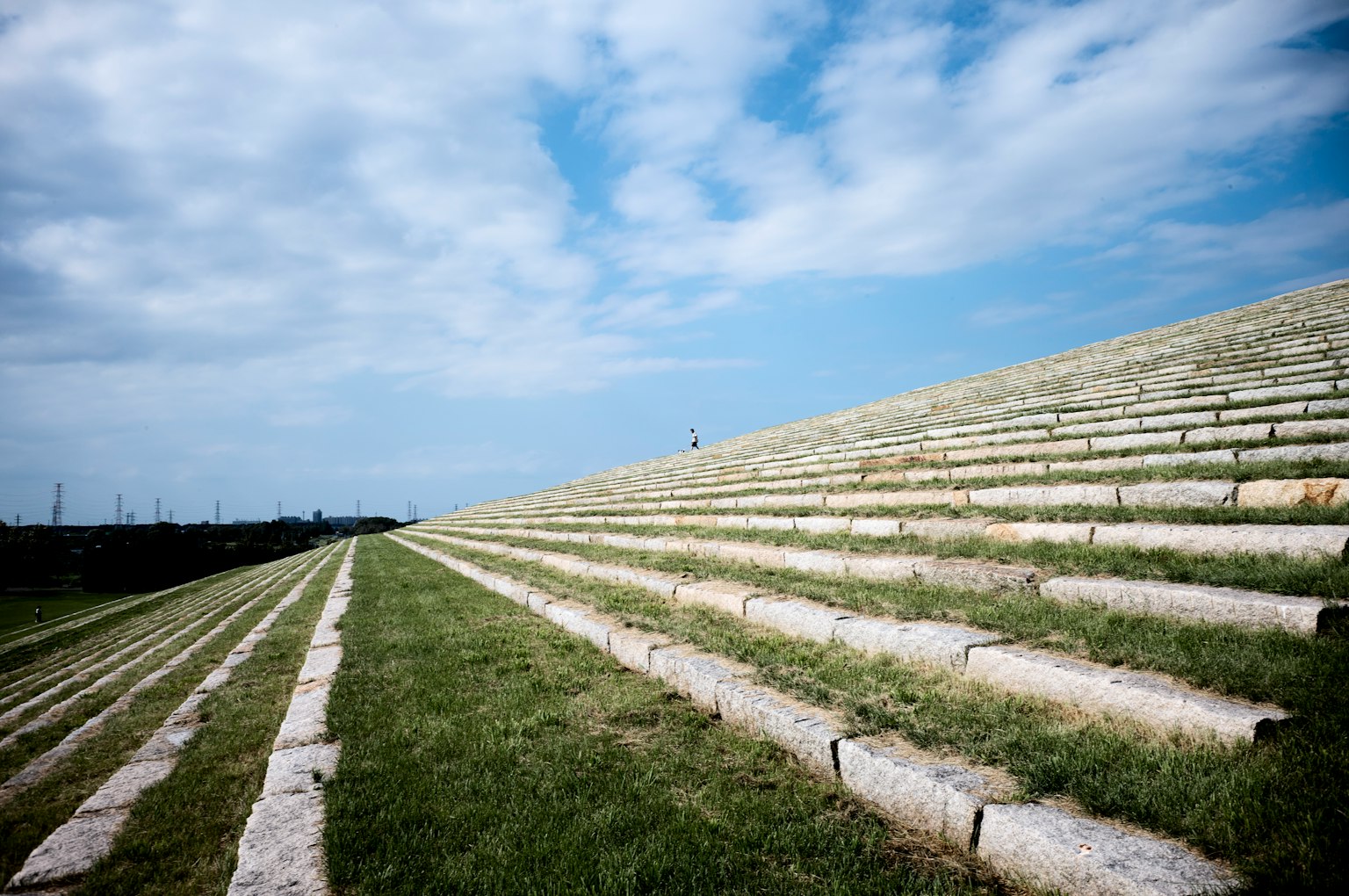 Foto einer geneigten Landschaft mit ordentlich angeordnetem Gras und Steinen