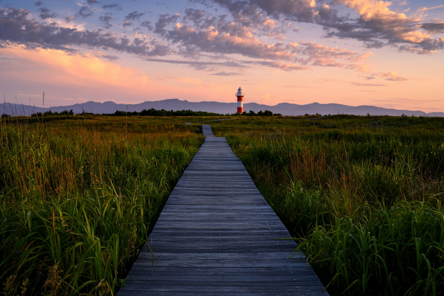 Vista escénica de un camino de madera que atraviesa hierba alta bajo un cielo de atardecer
