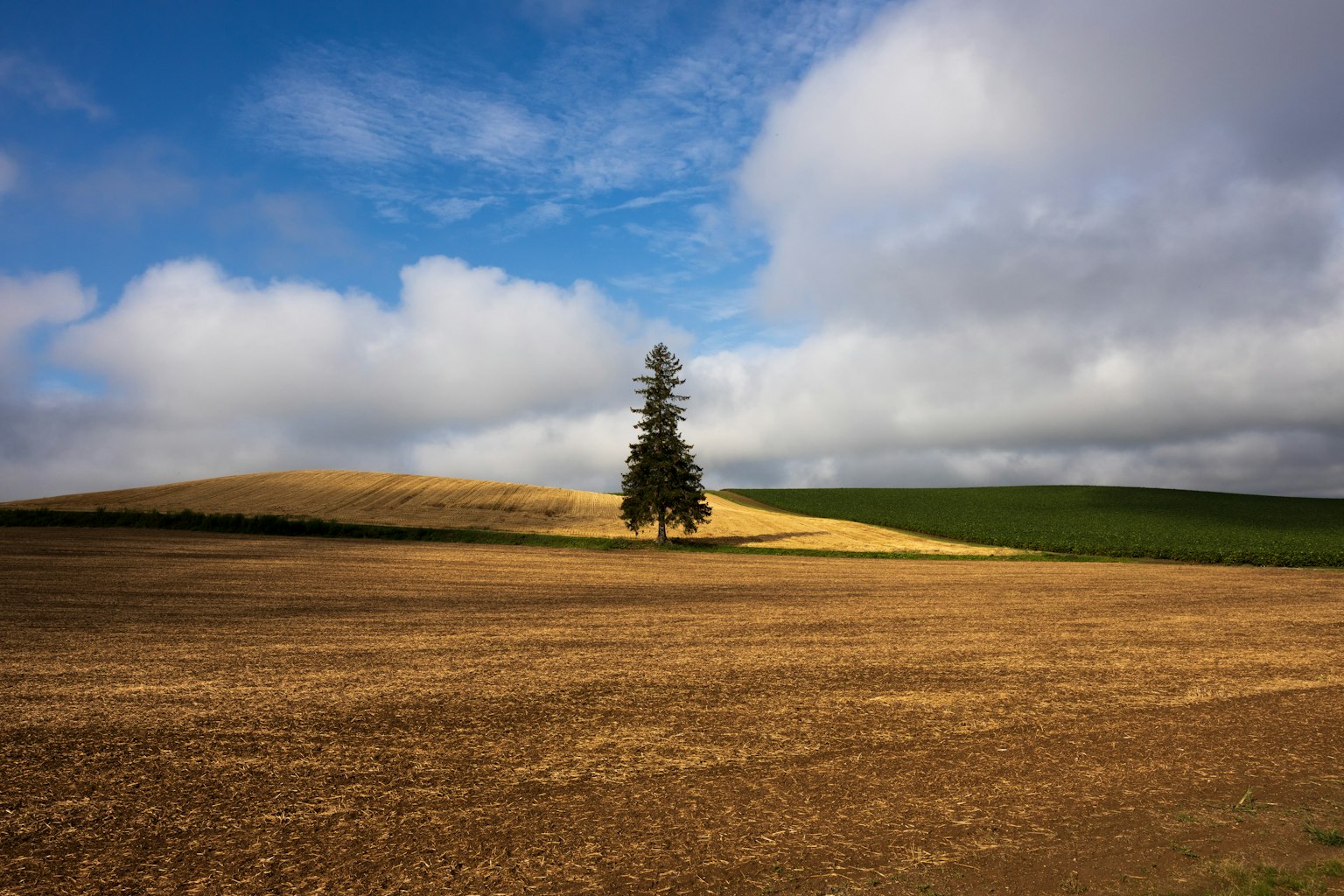 photo-B4yD9W4TJMqg5JPWF4f5-image