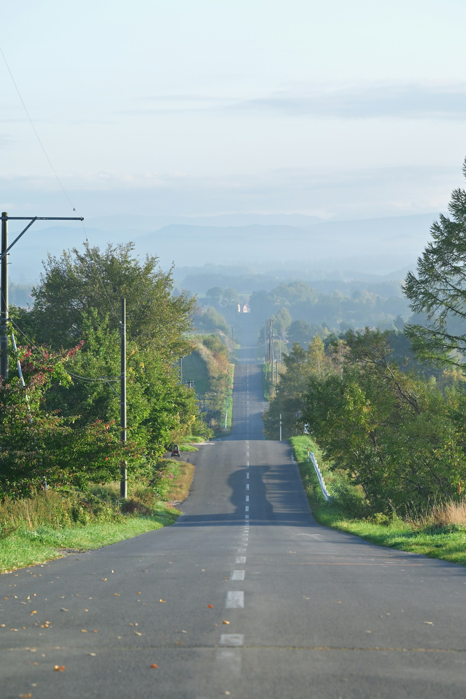 Straight road through lush greenery with distant fog
