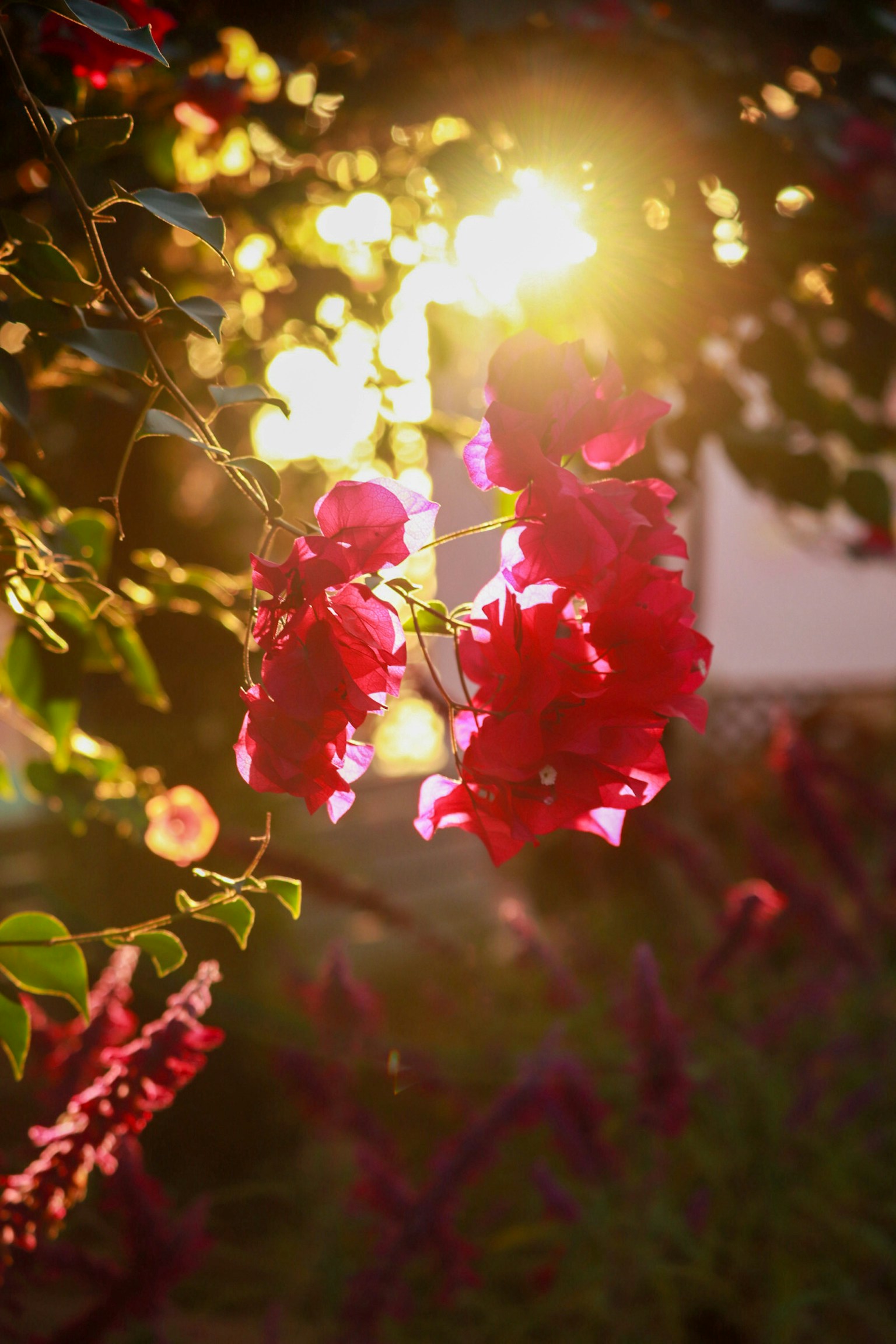 photo-B52kzOh5LFqyhRPbQ8OS-image