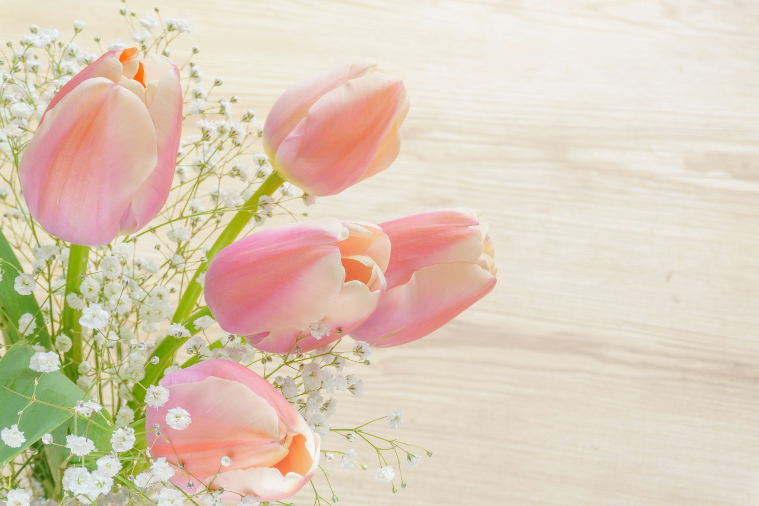 Ein Strauß rosa Tulpen und Schleierkraut auf einem Holzhintergrund