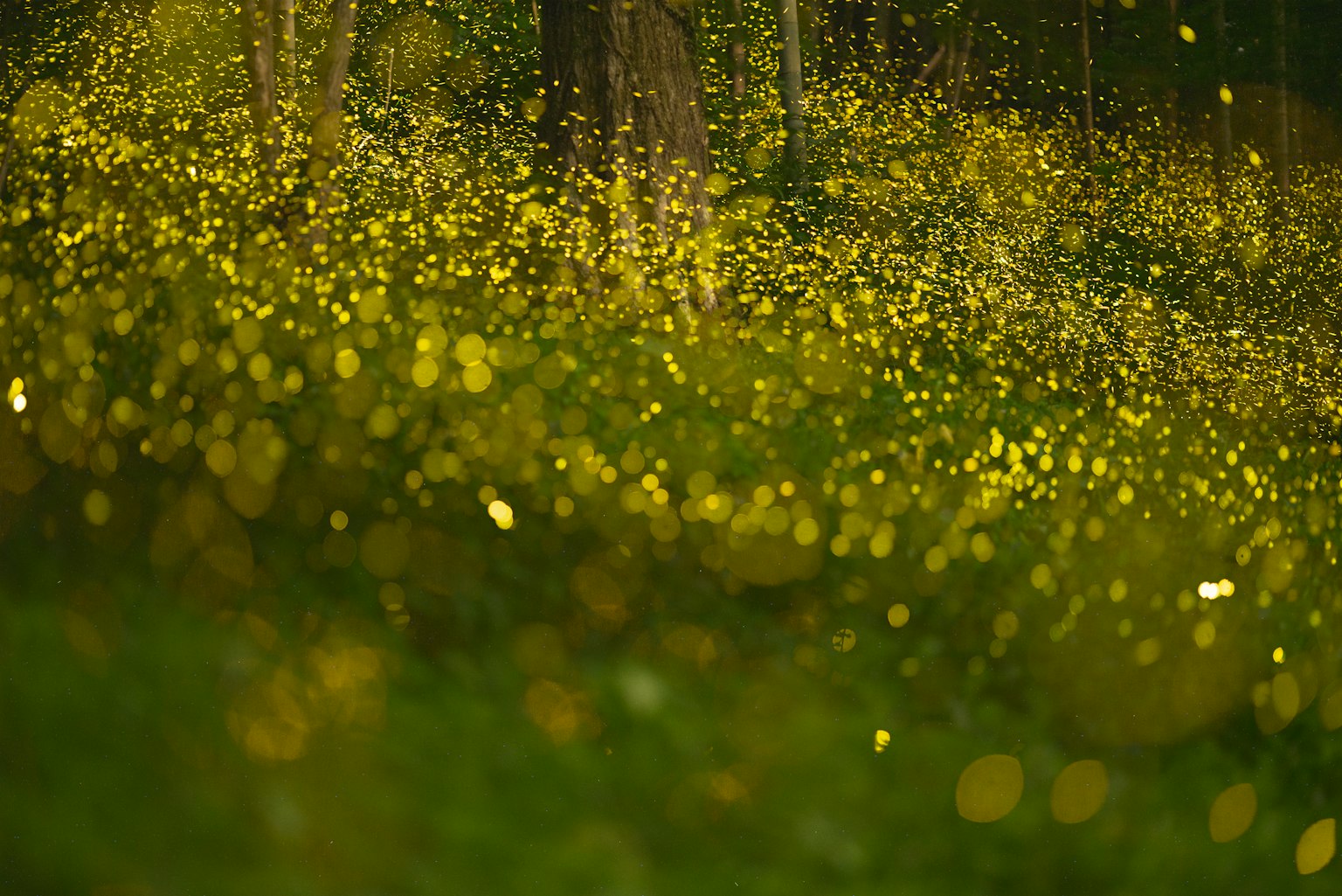 photo-B6a5rVdtviKq6EP7f6wJ-image