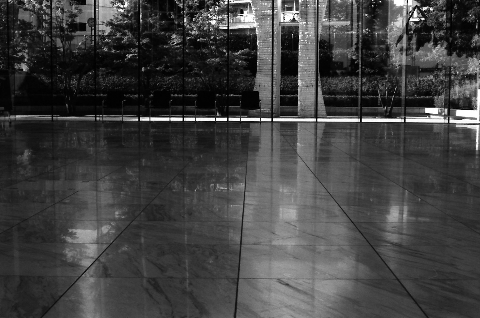 Pavimento lucido che riflette la luce e la vegetazione in uno spazio moderno in bianco e nero