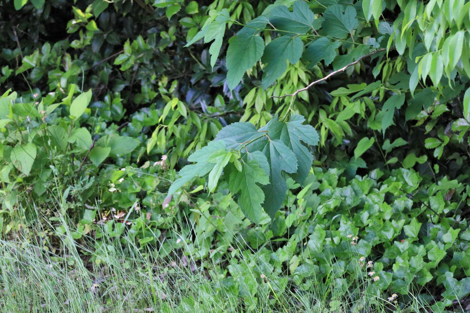photo-B7f6cz813QfdrYkQULPV-image