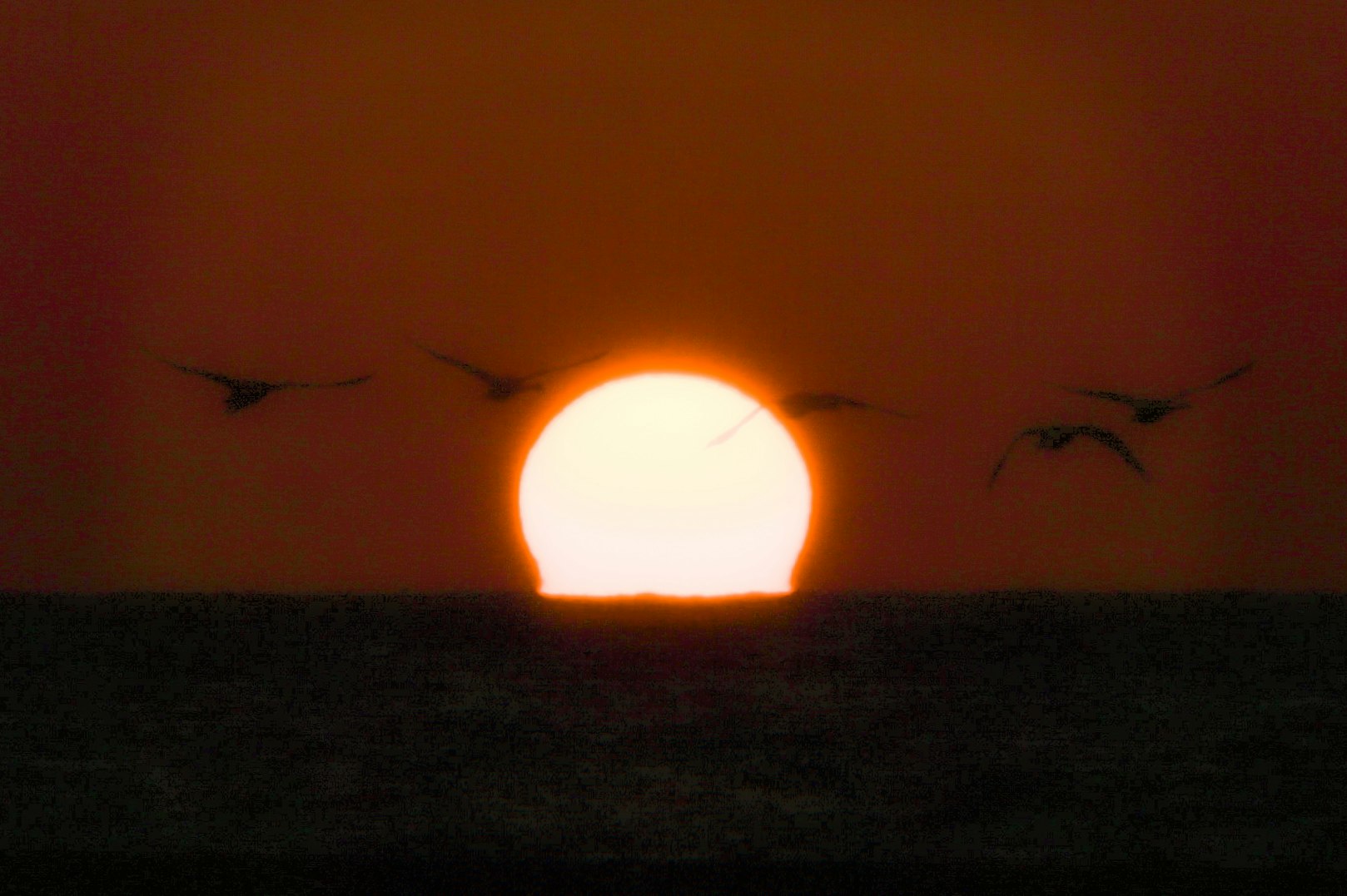 夕日に照らされる飛行機雲のある空の風景