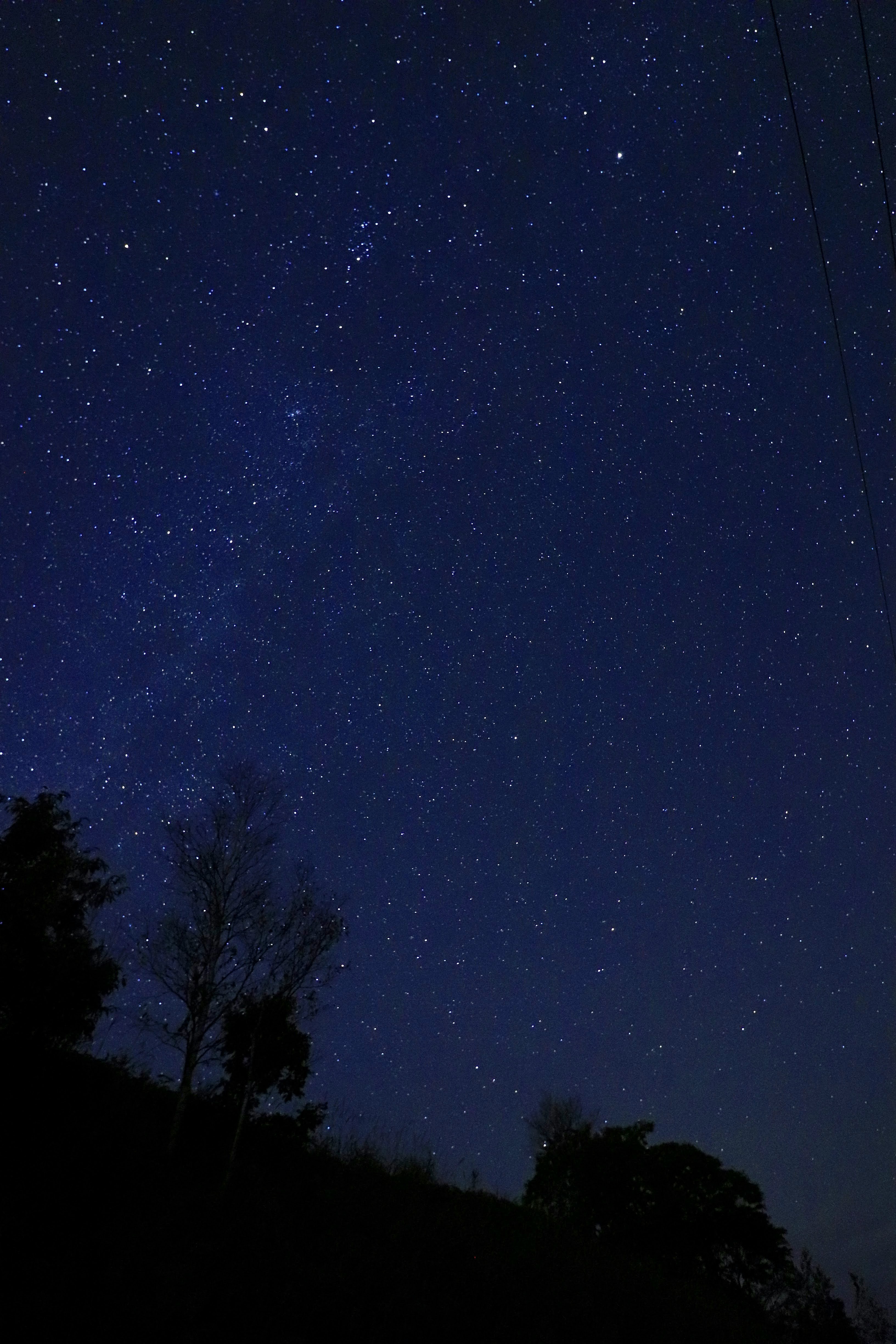 夜空に広がる満天の星とシルエットの木々