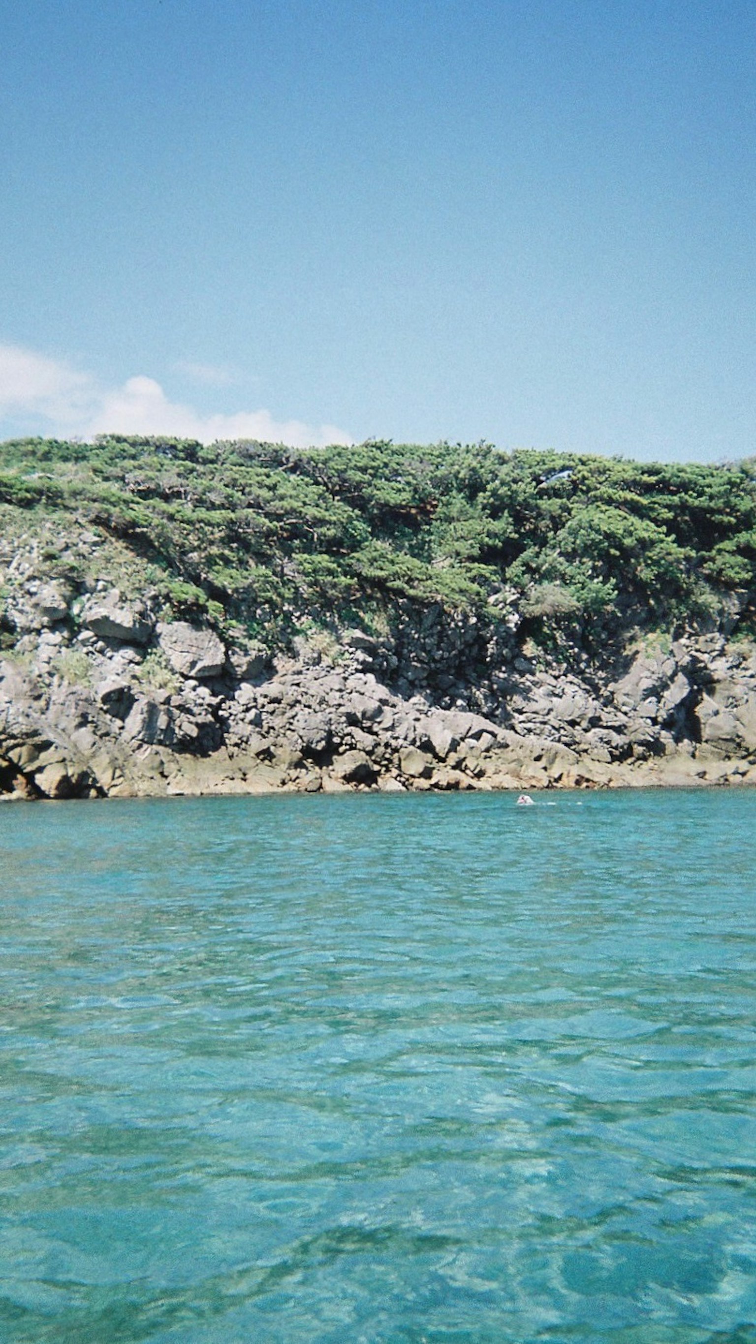 藍色海洋與岩石海岸及郁郁蔥蔥的植被
