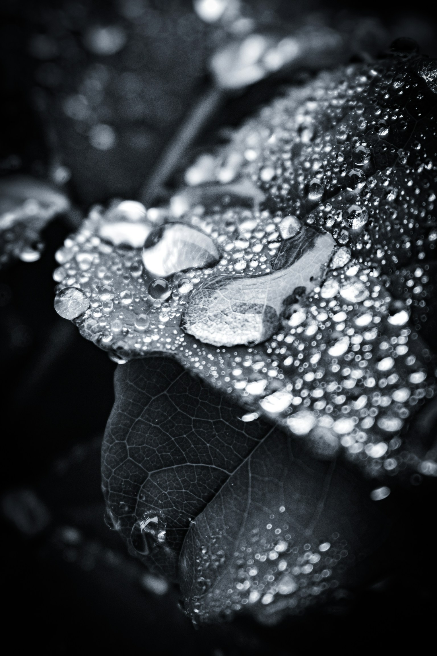 photo-B8Y9deauy71wJ43KVpkf-image