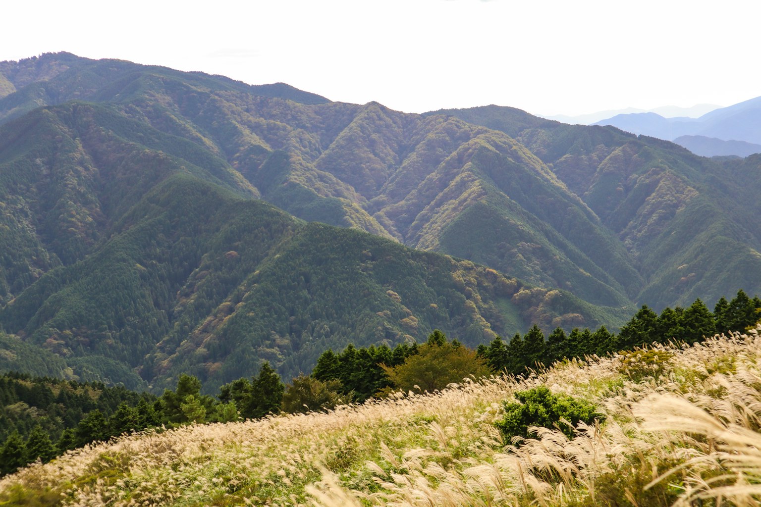 Scenic view of rolling mountains and lush grasslands