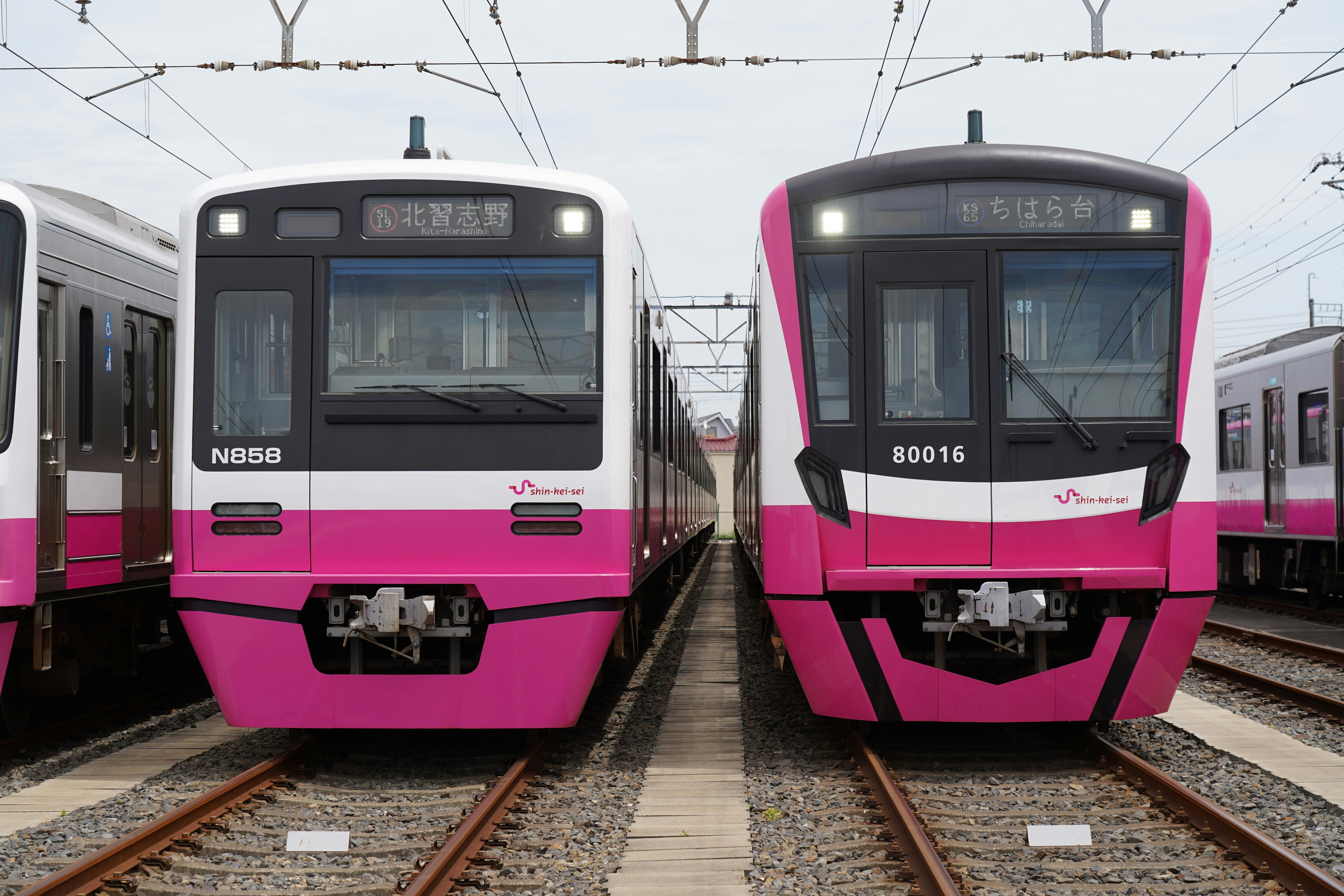 鐵軌上並排的粉色列車正面