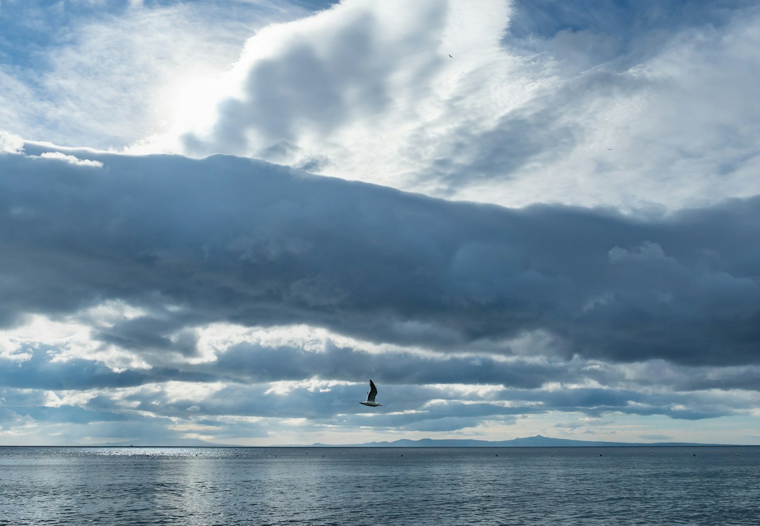 Un oiseau volant sur fond de mer bleue et de ciel nuageux