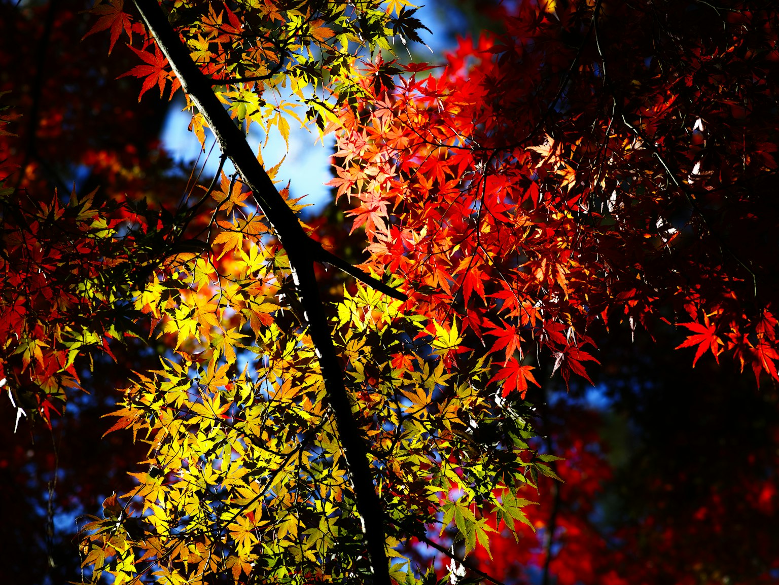 photo-BABTZWz9KLrGU82nTZzB-image