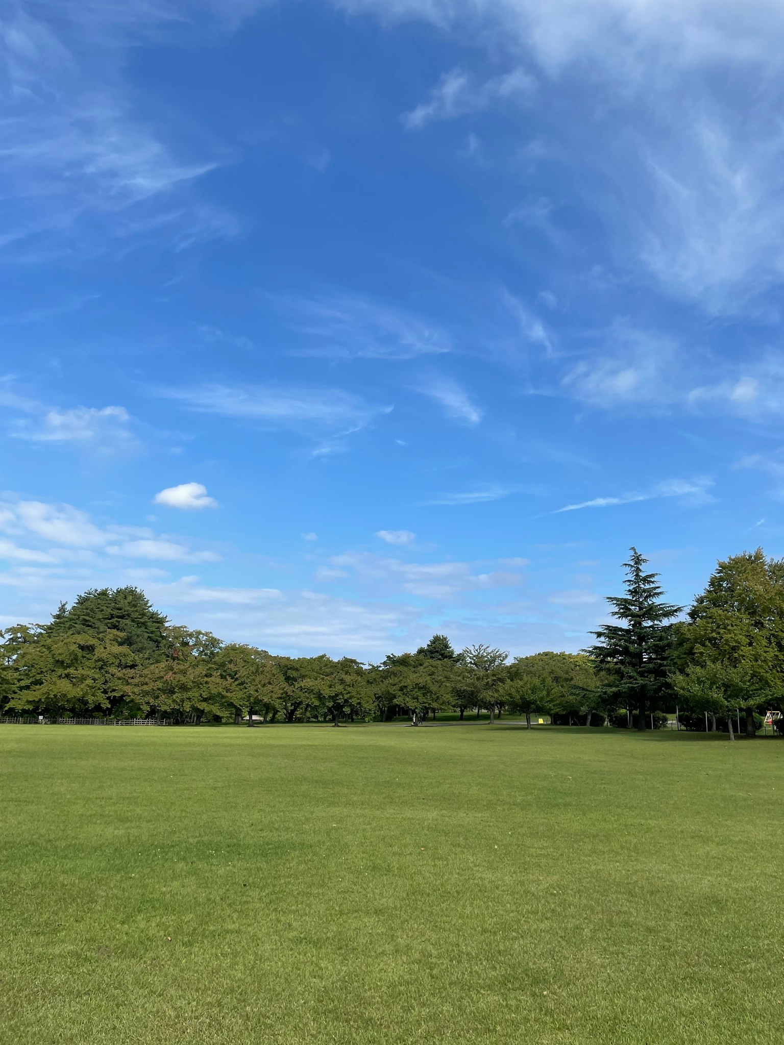 A park landscape featuring a blue sky and green grass