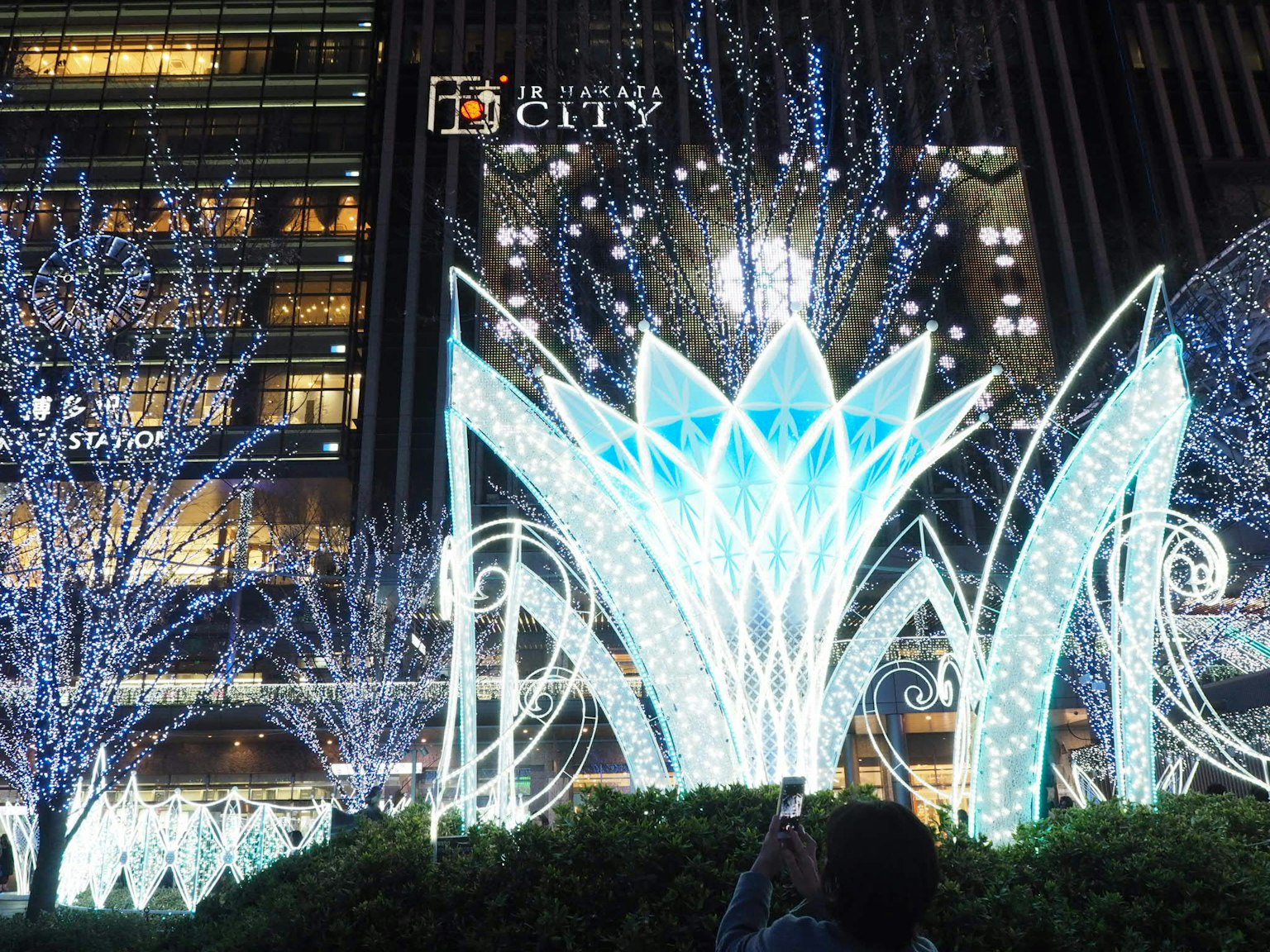Eine große blumenförmige Installation mit schönen blauen Lichtern in der Nacht