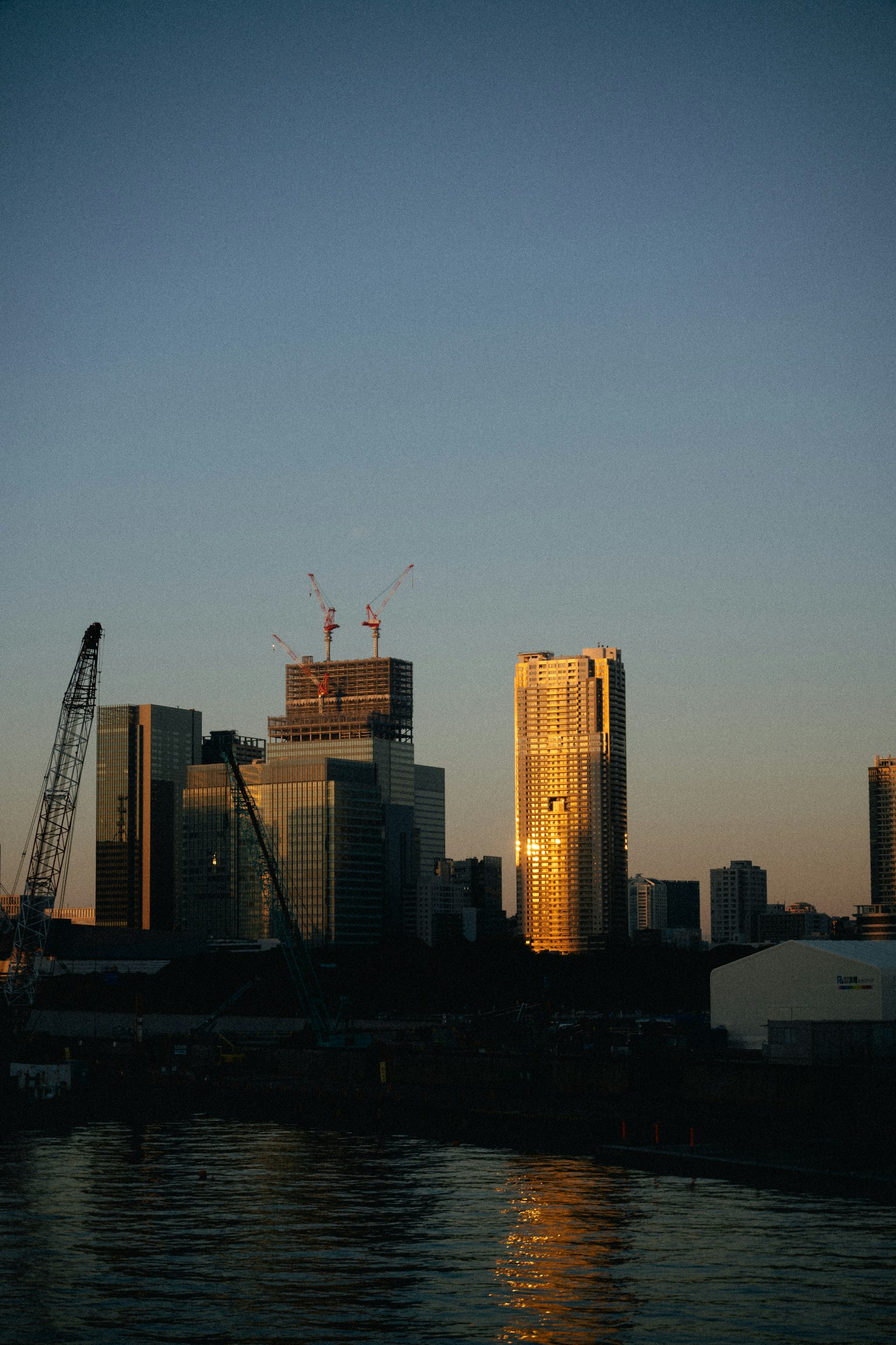 夕暮れ時の都市のスカイライン 高層ビルが金色に輝く 水面に映る建物のシルエット
