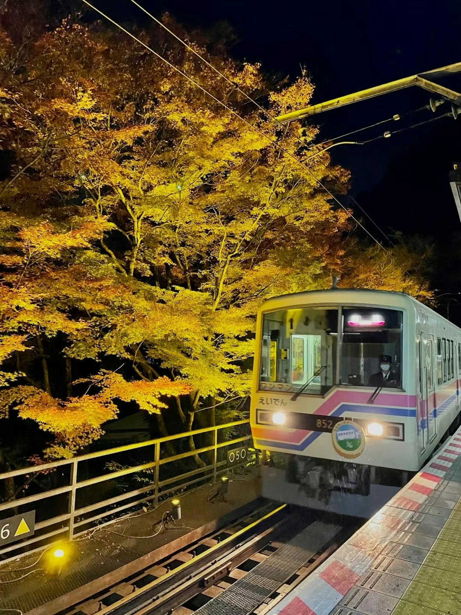 Tren detenido en una estación nocturna con hojas de otoño coloridas