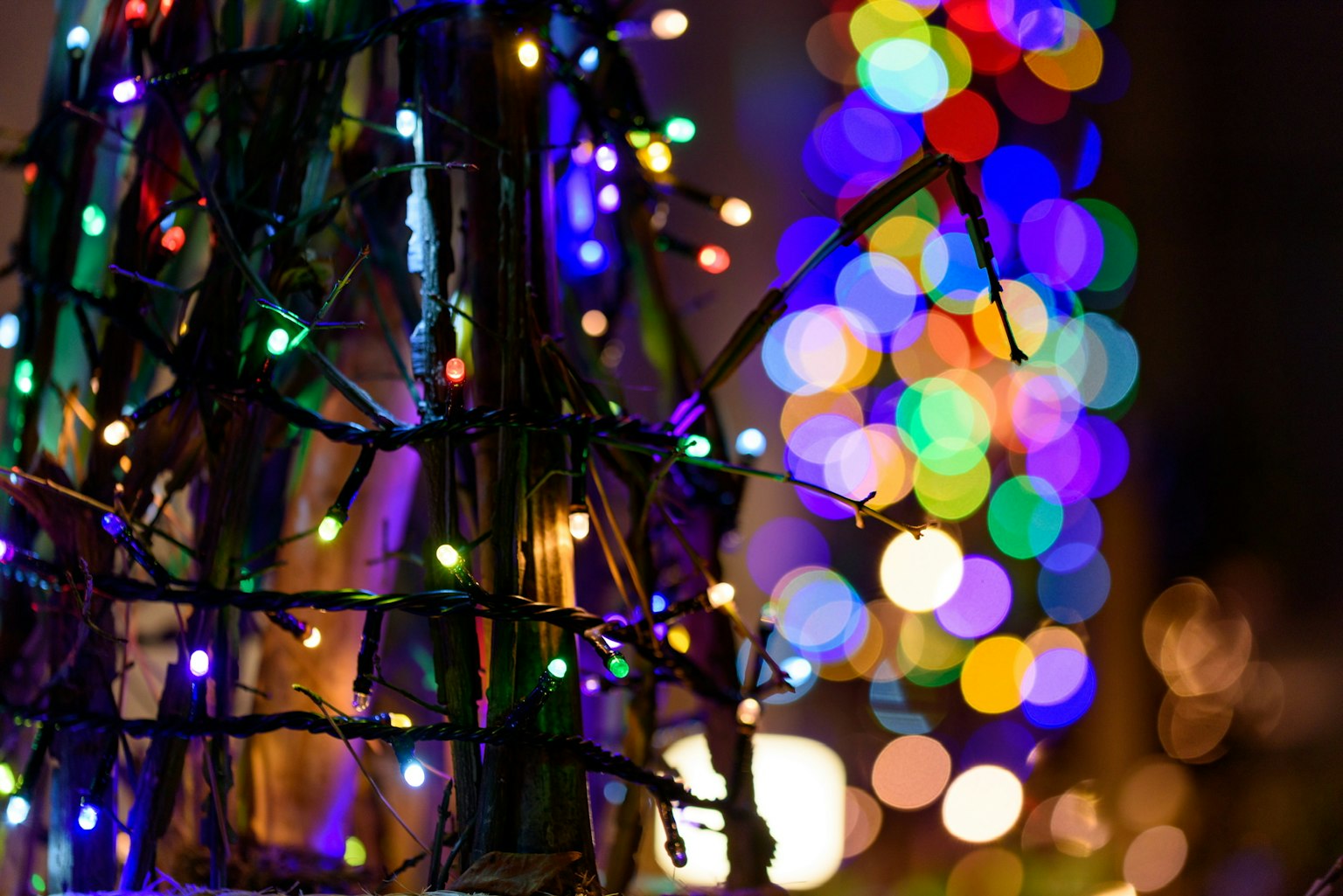 Gros plan sur des lumières de Noël colorées sur des branches avec un arrière-plan flou de lumières bokeh