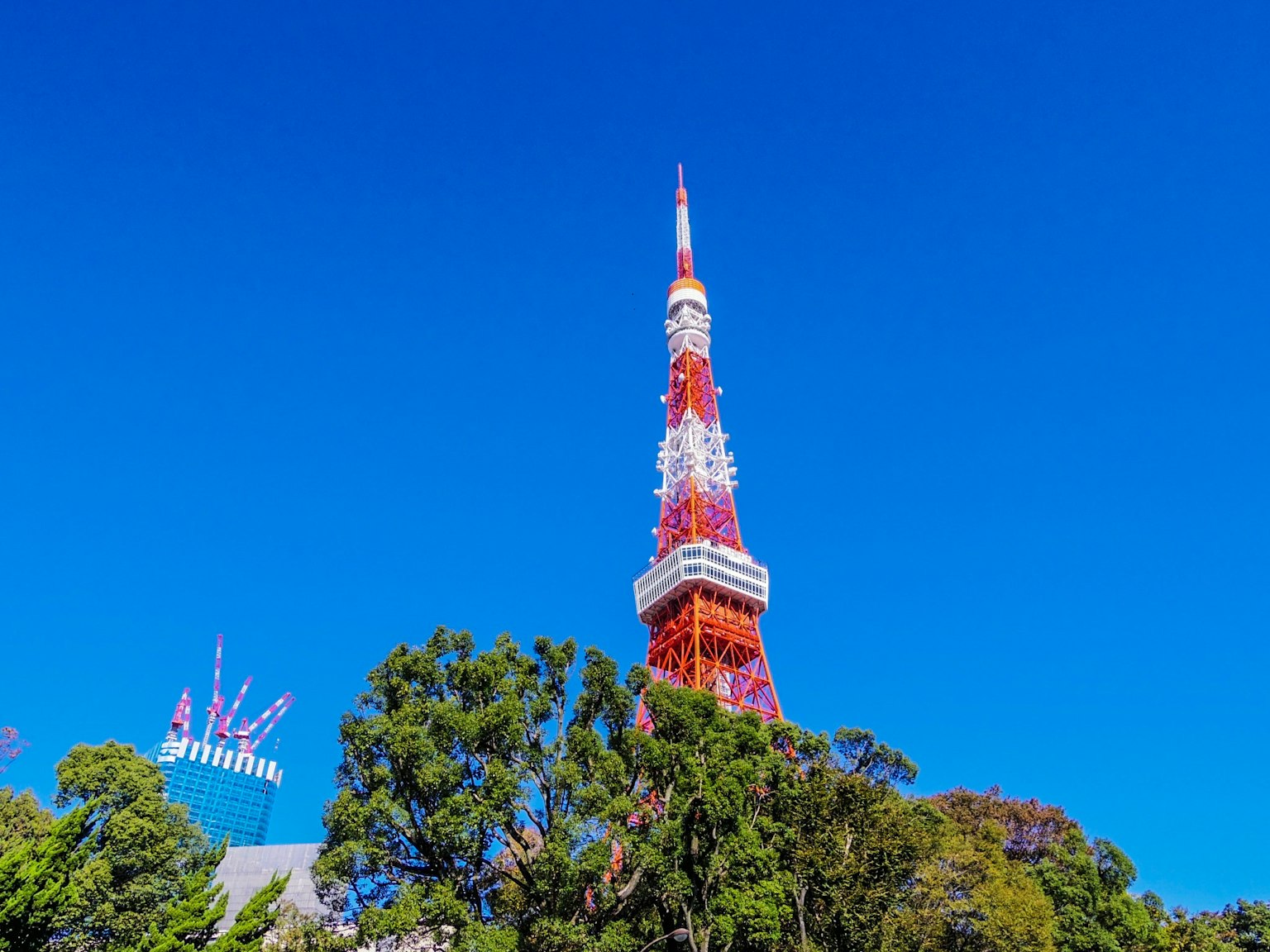 La Torre di Tokyo si erge sotto un cielo blu chiaro circondata da vegetazione