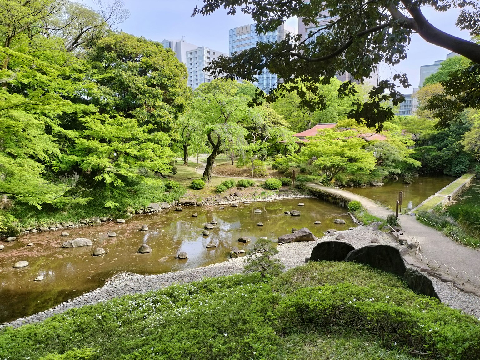 Lush park scenery featuring a stream and skyscrapers in the background