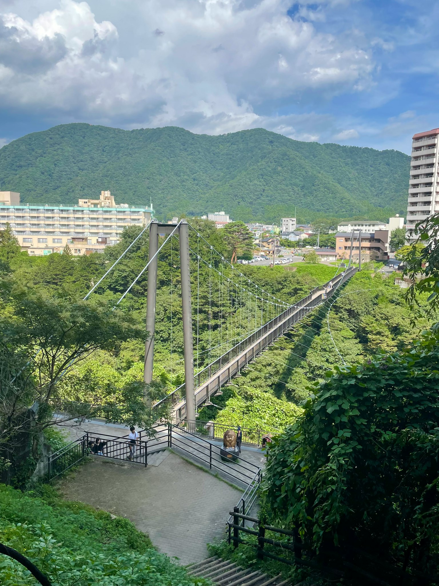 被绿树和山脉环绕的吊桥